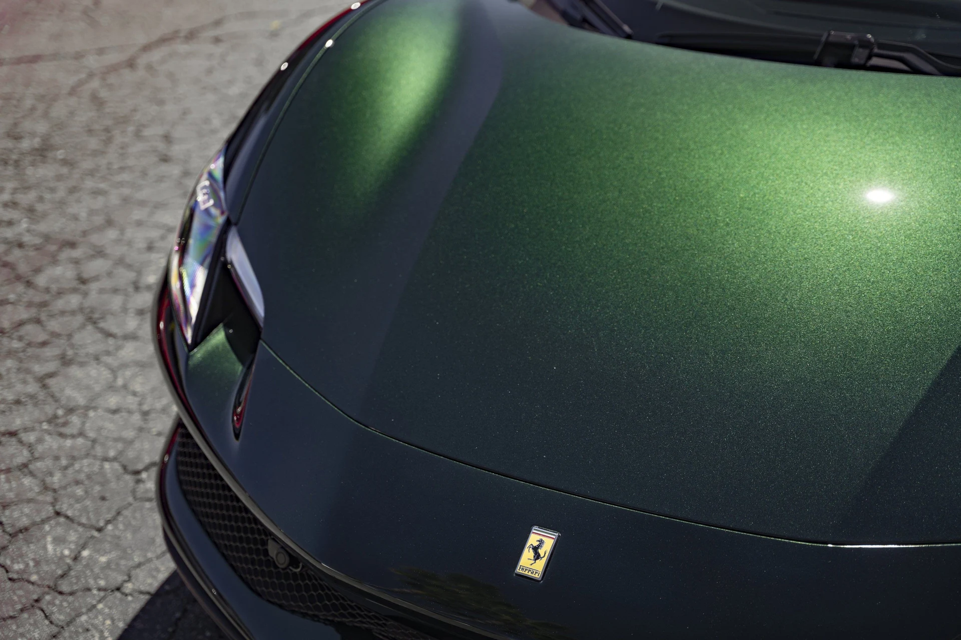 mph015_3941835544_377a2500c11e45919743789c47ea2571_dd087058e1