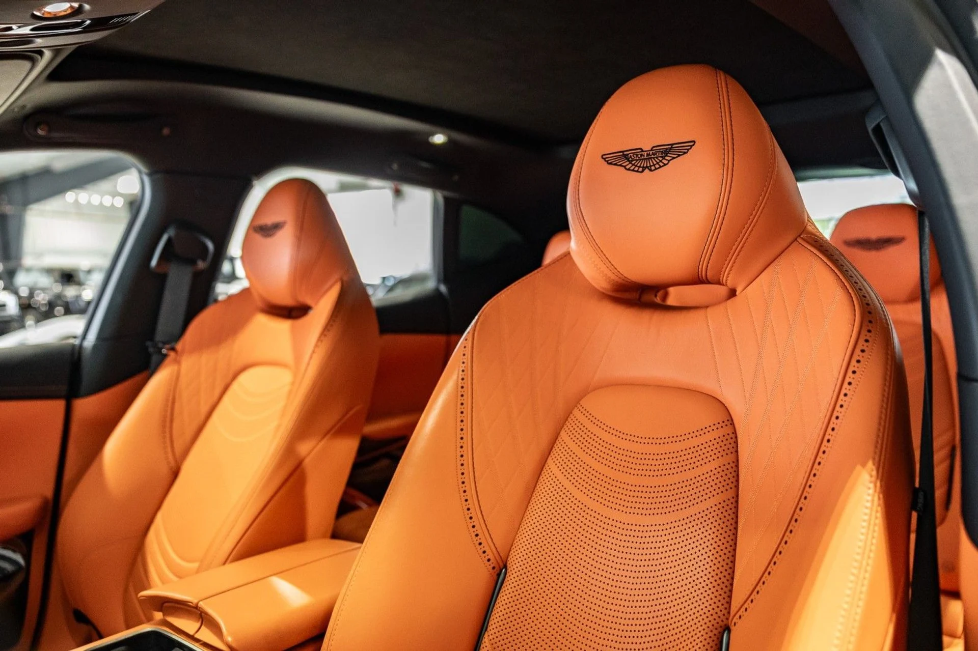 mph015_3991859662_Lg_d47b00d1ad