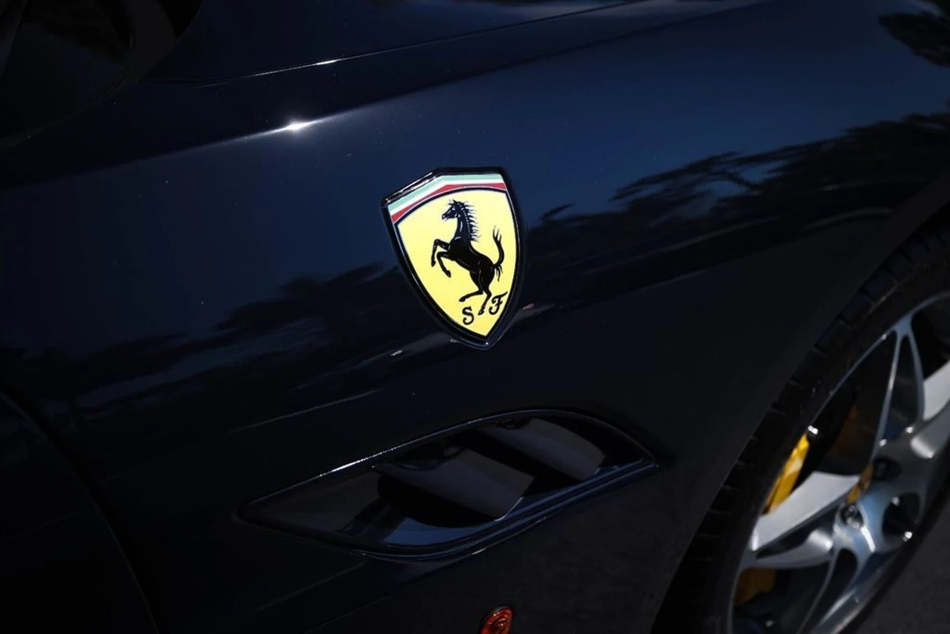 mph015_410050740_899dcd87d2477c078a9e2f0c35c1b546_019e2276fc