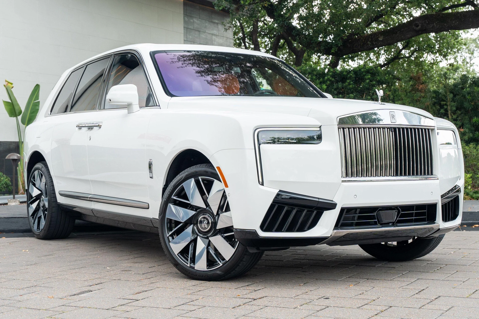 mph015_4141458666_500349993_69a6fbfaaf3a405b44d4111e_978d04577a