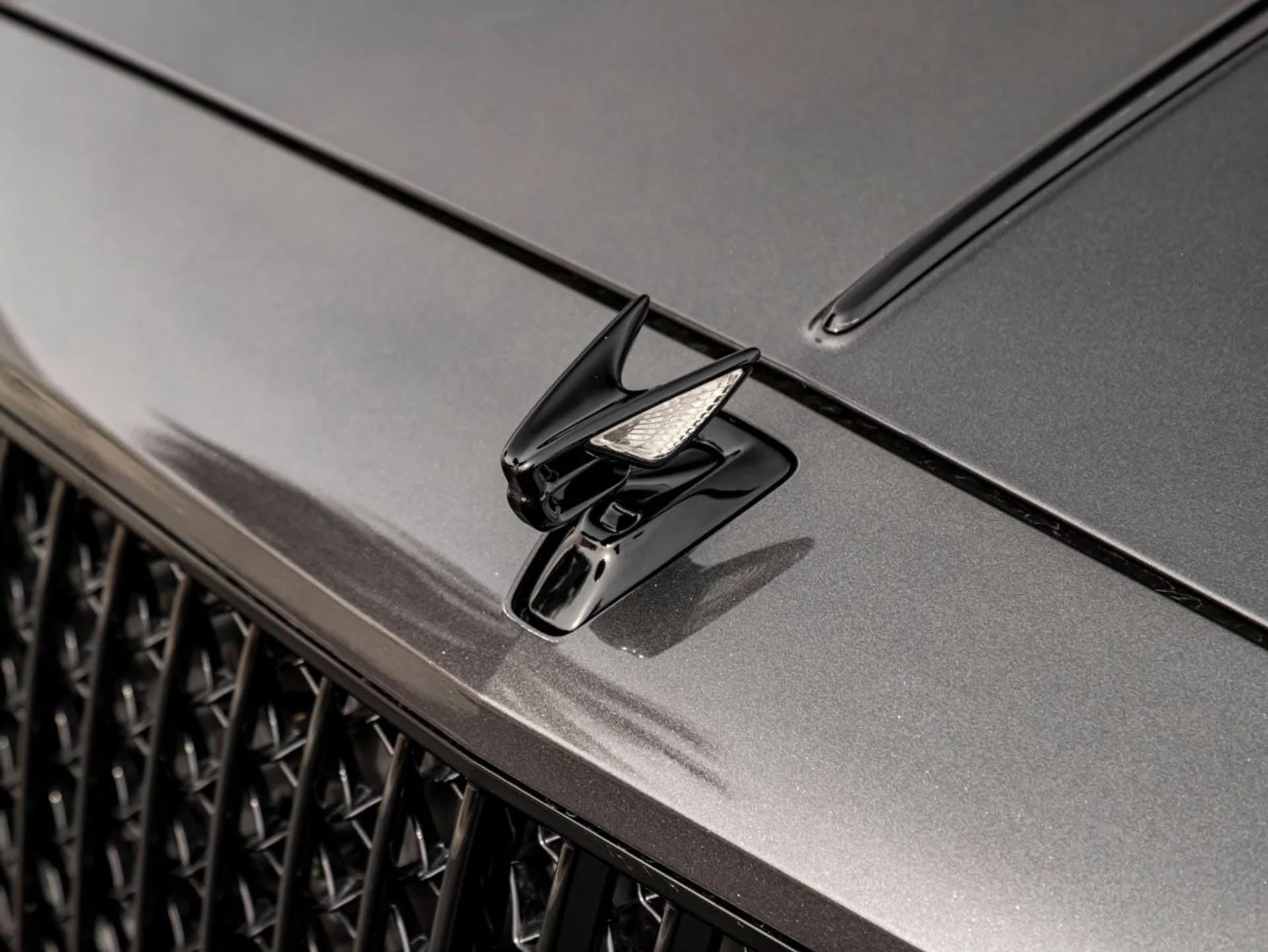 mph015_483182052_16_5920a75762