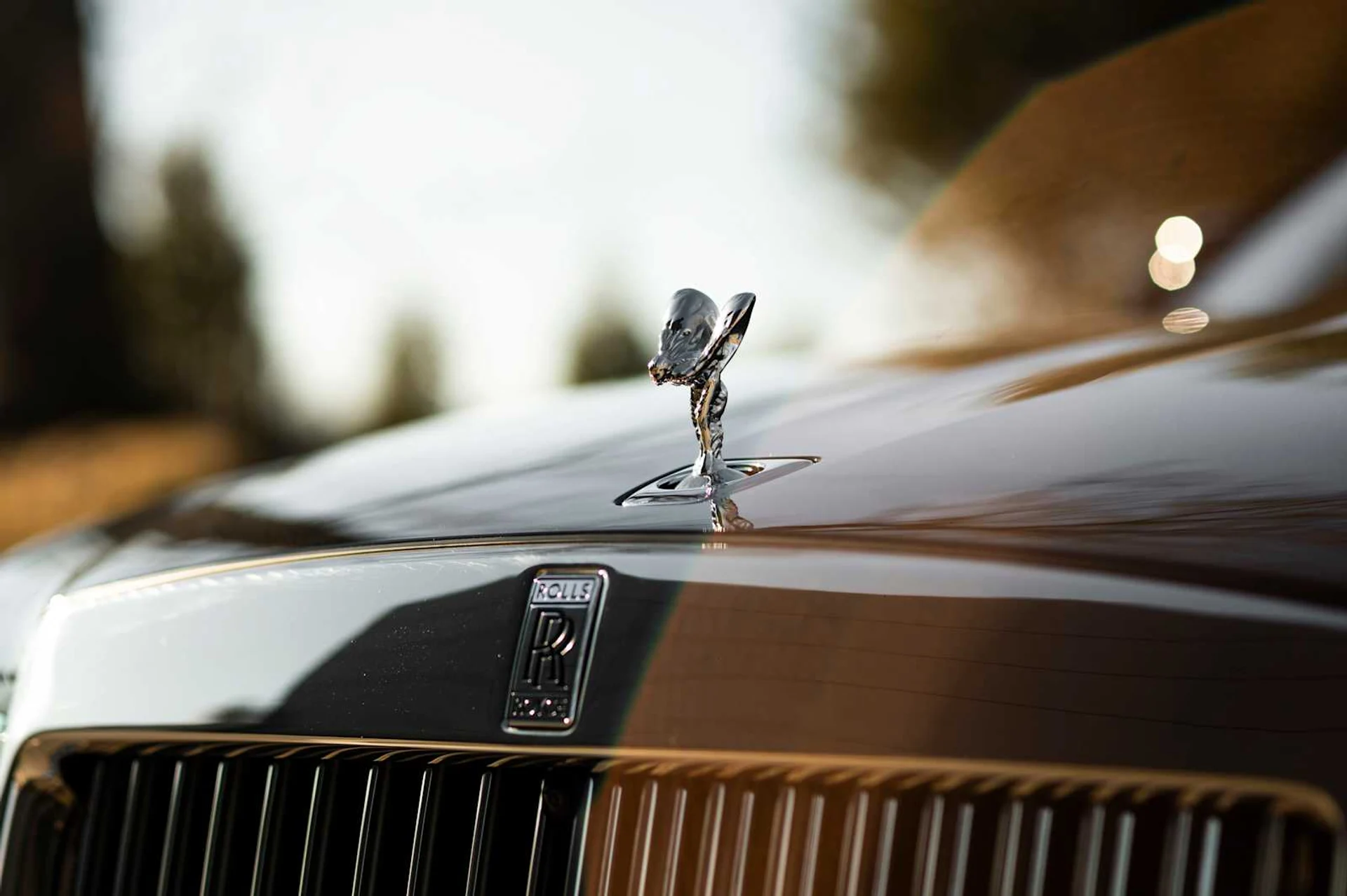 mph015_500038105_4c047d54882bb5b24211bad12cbd17c1x_e7e6e21261