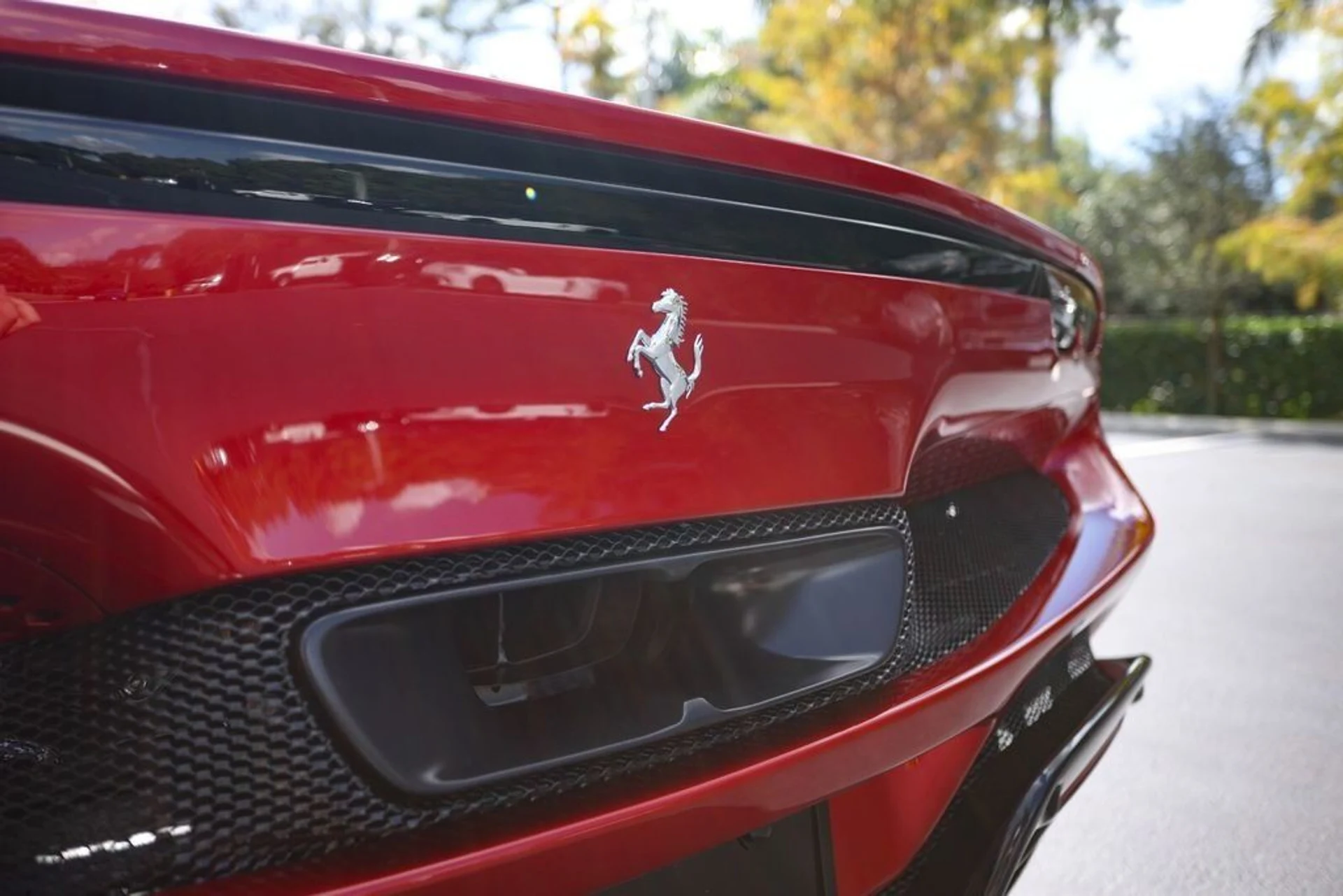 mph015_502852465_c2d258a74edf597358617b9feabe902e_0cc643449a