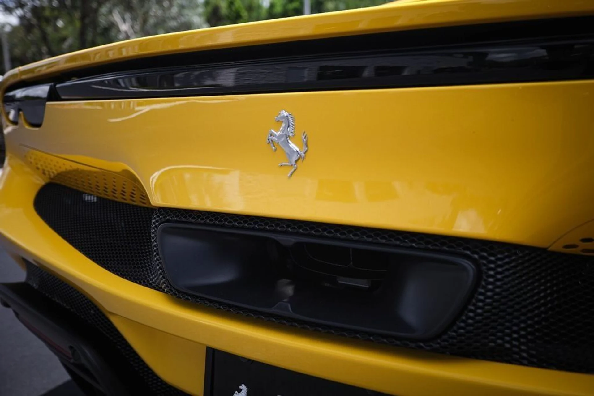 mph015_583064099_7fc21593f0368b15325ed2cf51b3131b_ac48288afe