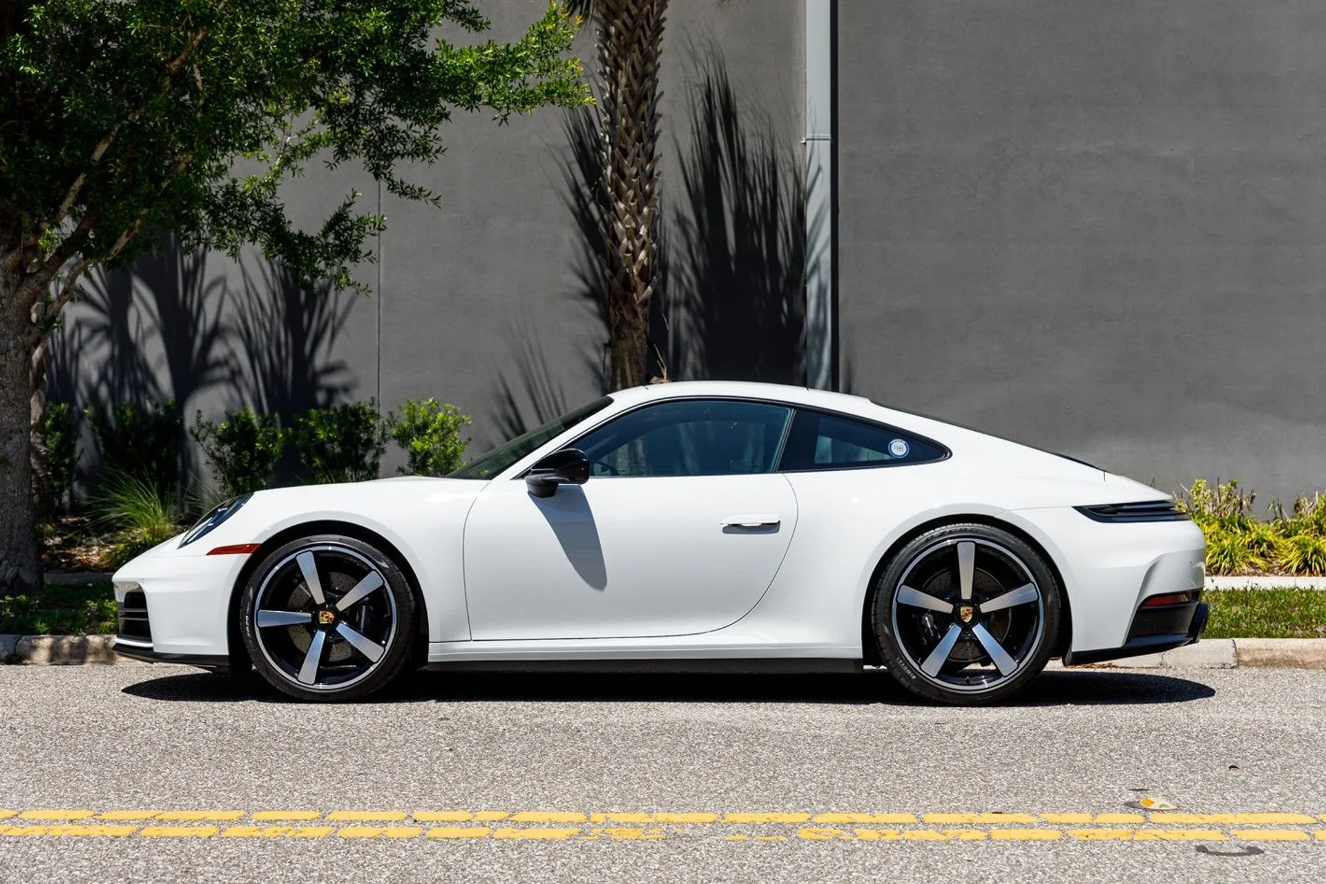 mph015_628832979_666_p16_l_6a25540c7f