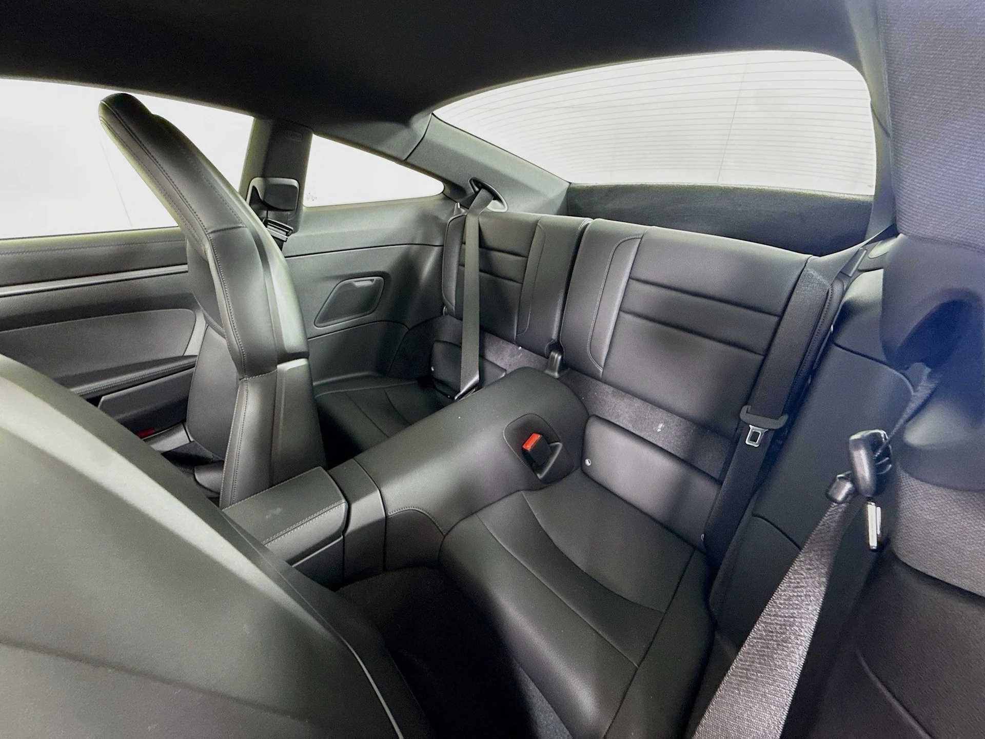 mph015_641406173_346e79886fe776ec5817541d9f3028c5x_8935652af4