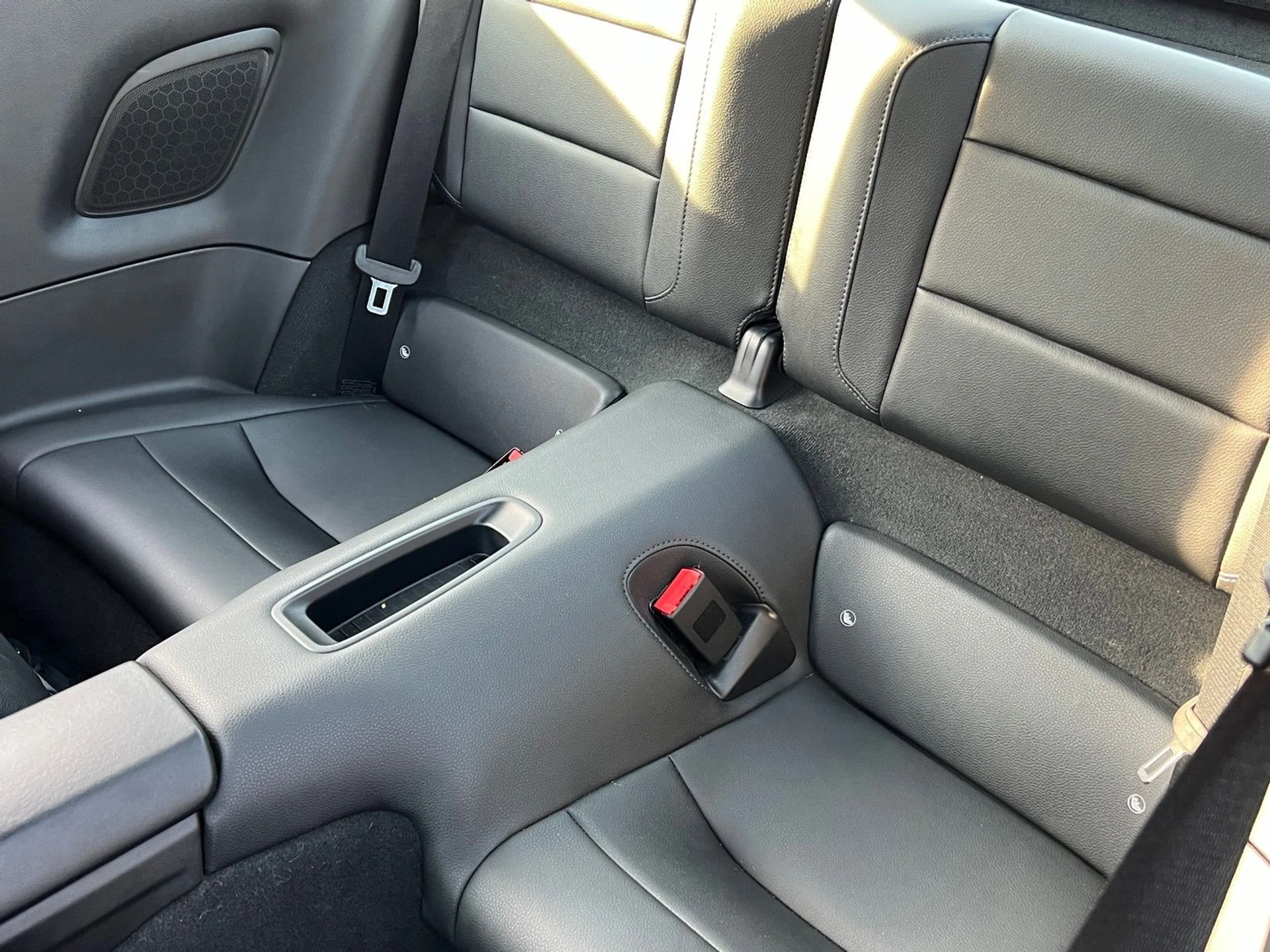 mph015_674478333_44a609897cf535afd17283dd0c34302ax_cbfa7074c4