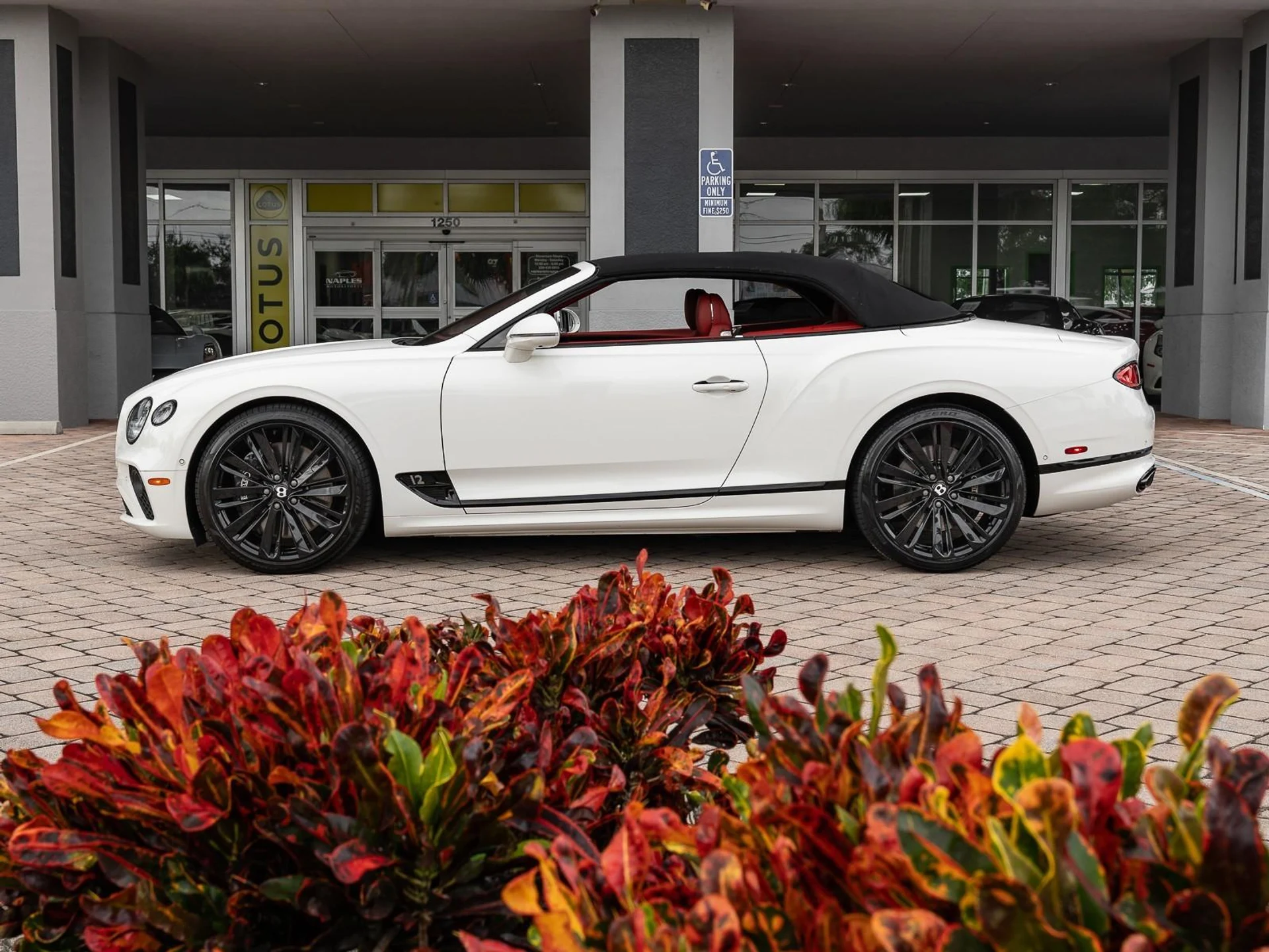 mph015_705497530_Used_2022_Bentley_Continental_GT_Speed_1763485701_895c3d7ba3