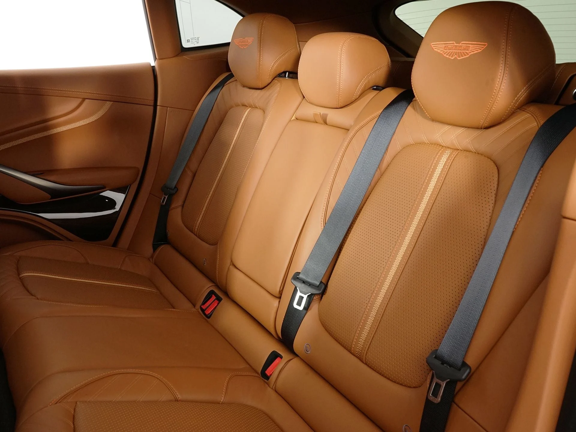 mph015_732696762_e0a9a896e209e9b977201559129bedd1x_888a642dbc