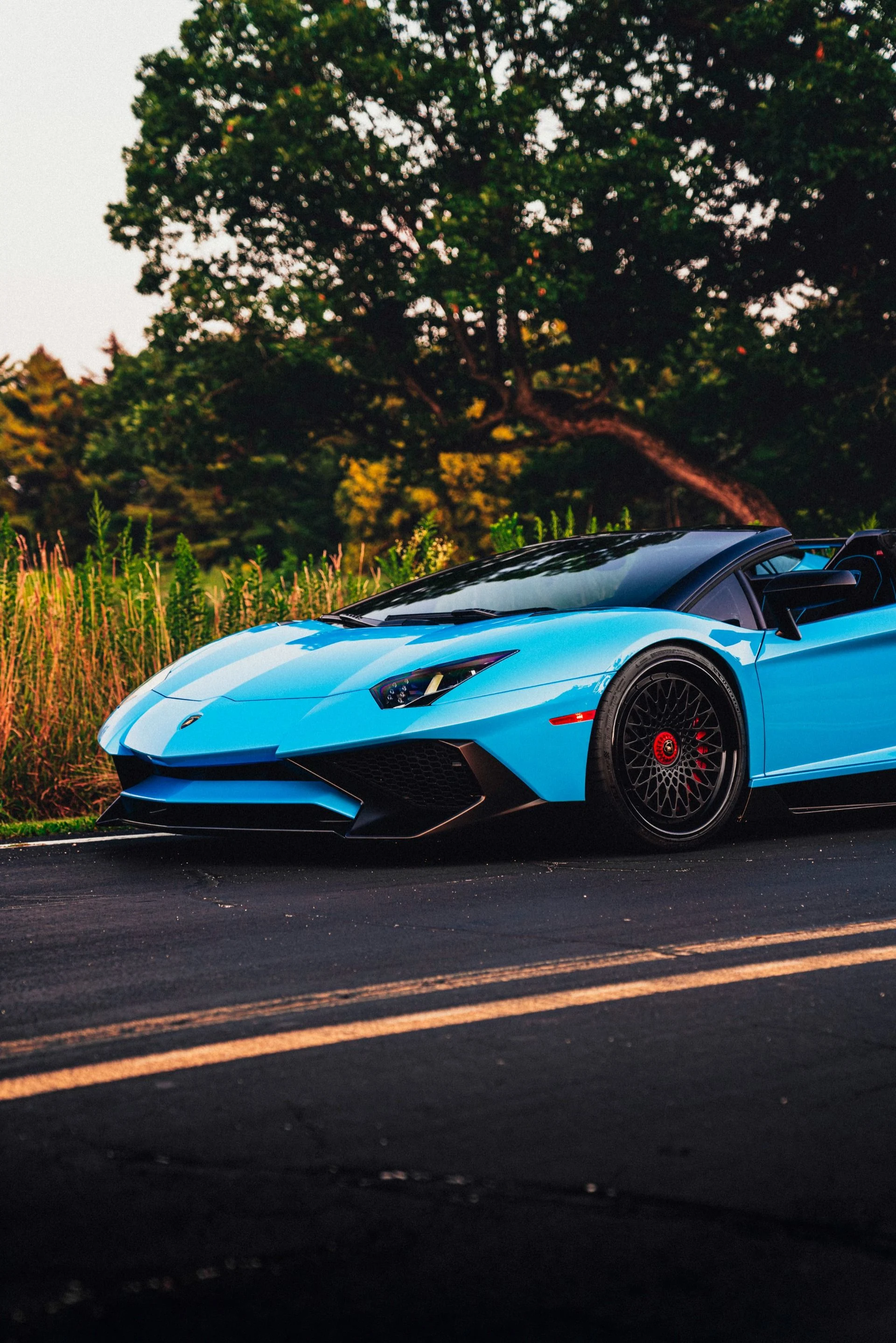 mph015_75943806_9696_p16_l_9a0a095d29