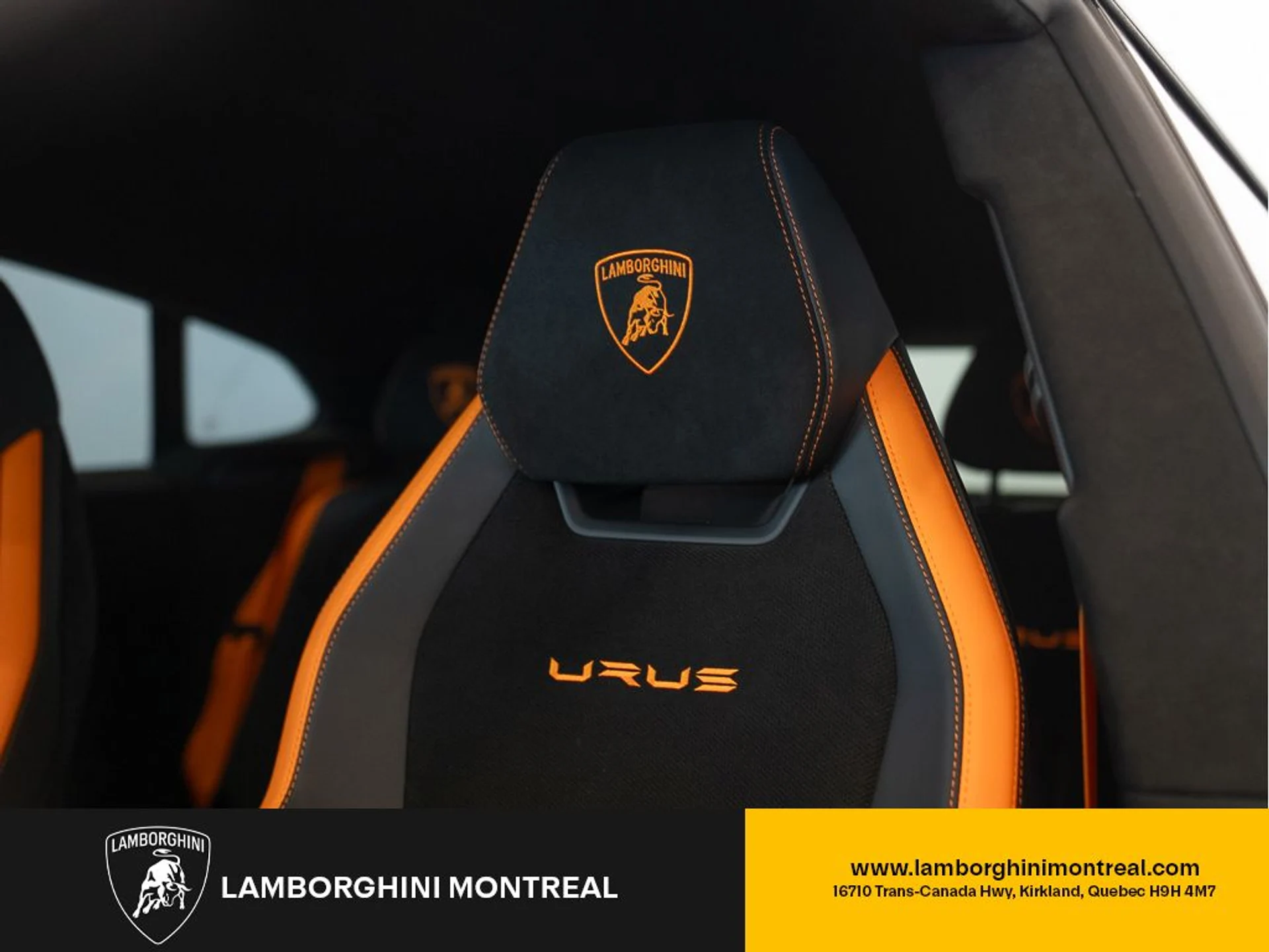 mph015_839179303_jpg_v_1772496892_048e29c949