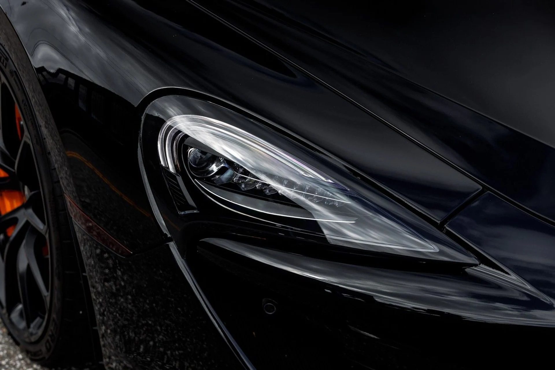 mph015_928687906_608_p16_l_8137179351