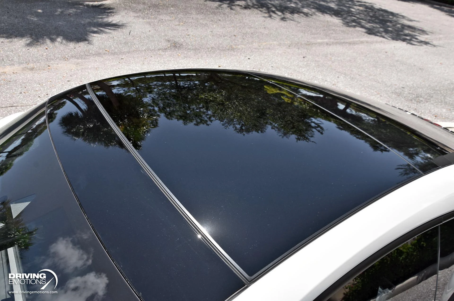 mph015_94704582_865_p16_l_2c0ba754a7