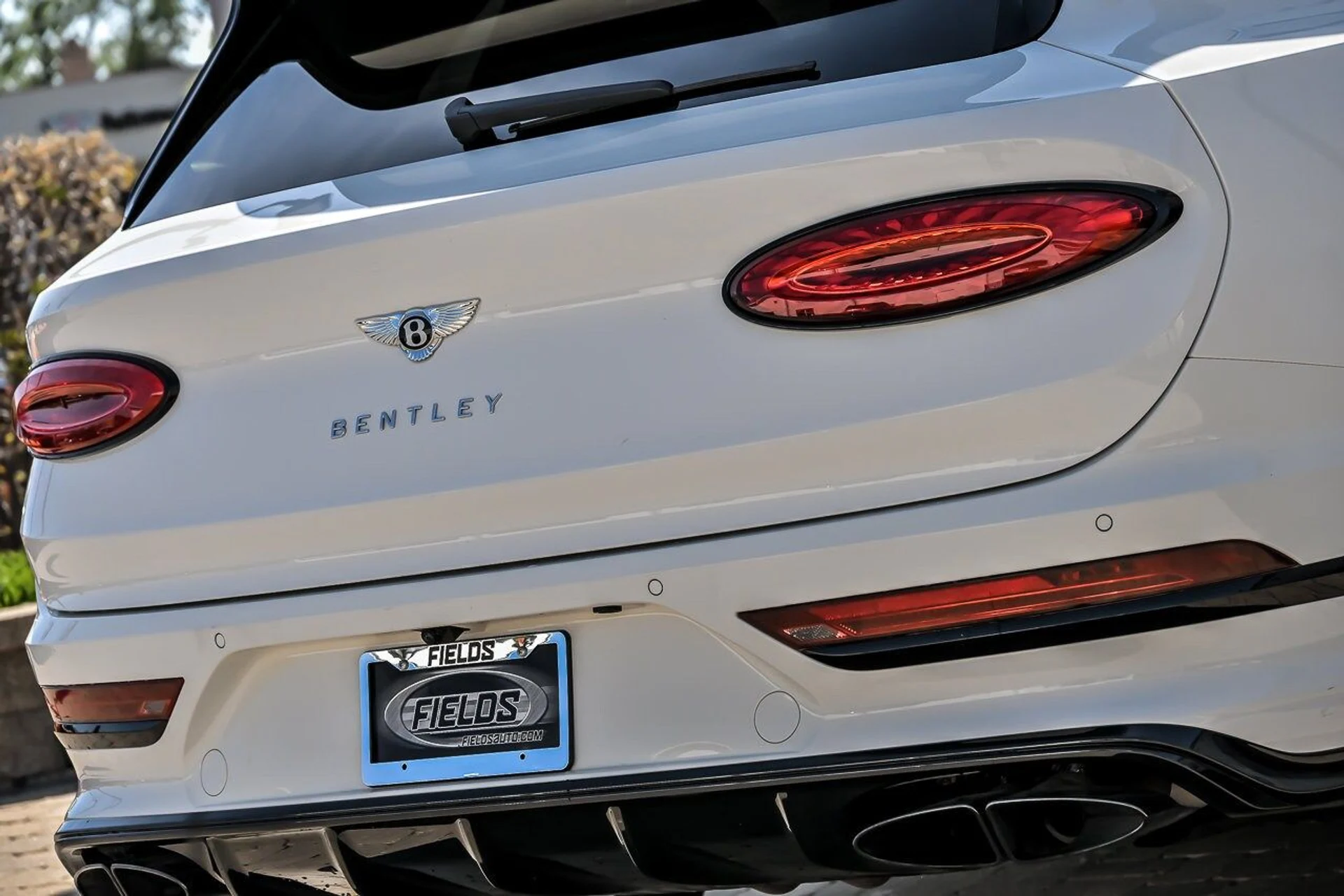 mph015_982468523_76b30ade2cb5cb5e7ceb2d01adcc4f4bx_7d0d95e7bb