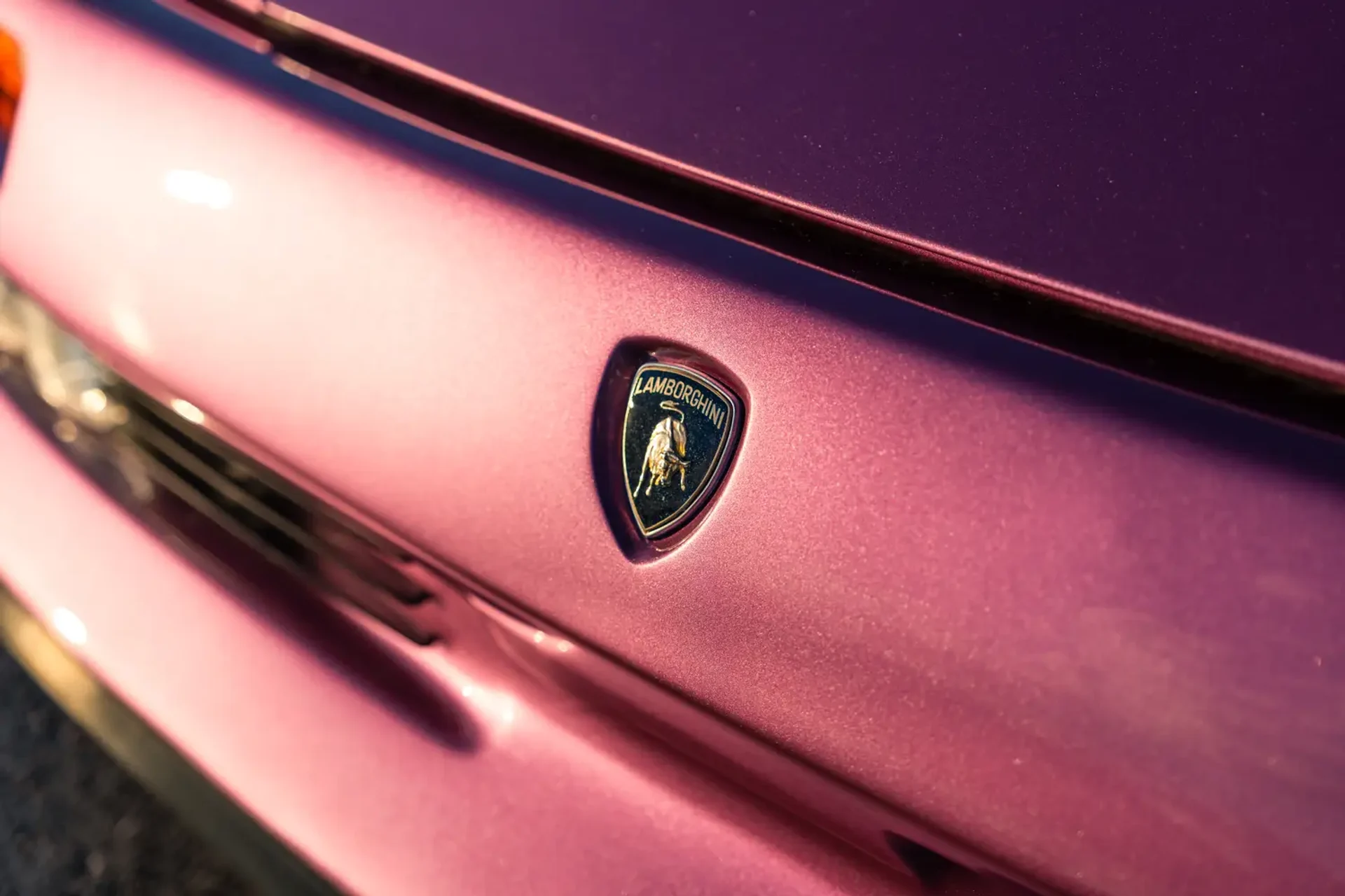 mph015_993317583_6903d27c97d930779ae93f9b_gallery_image_15_1761858157148_688d382533