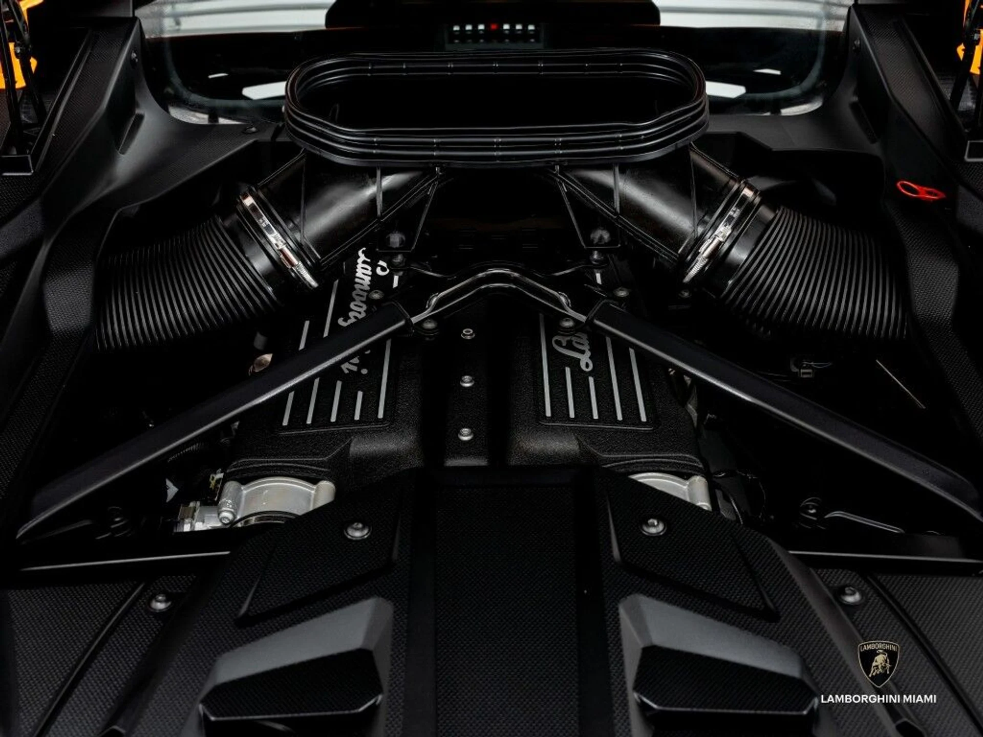 mph016_1105920893_076bbaecacbd1dc63a309777173557b8_52421a33dd