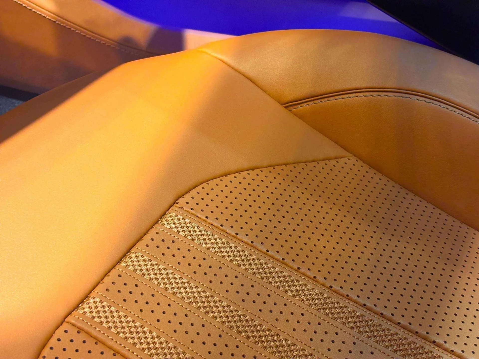 mph016_1286643835_d9651206_e873_47ec_8e75_5522ce37033a_67ffe64205