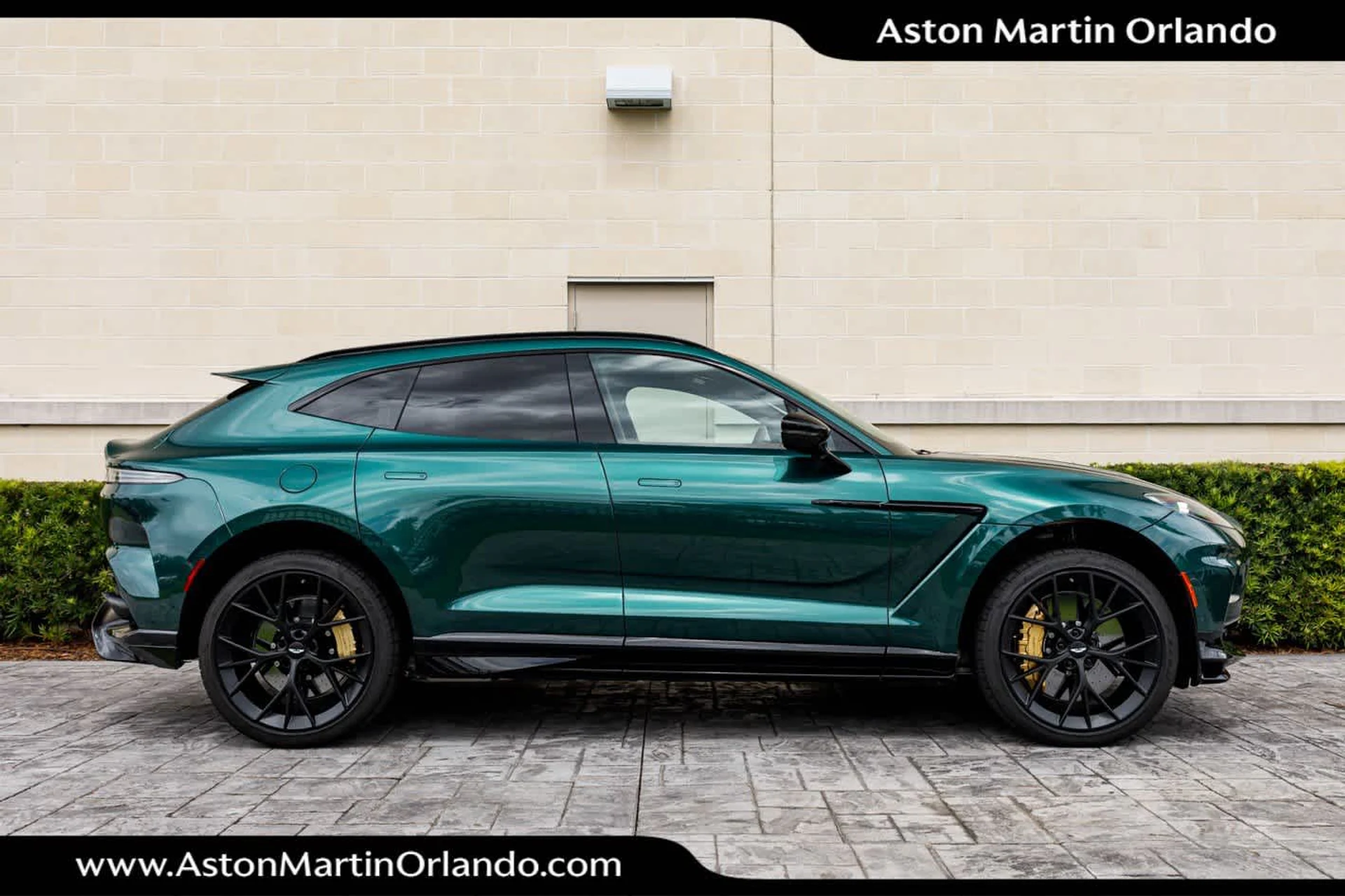 mph016_1299963896_17_f9fc60796d