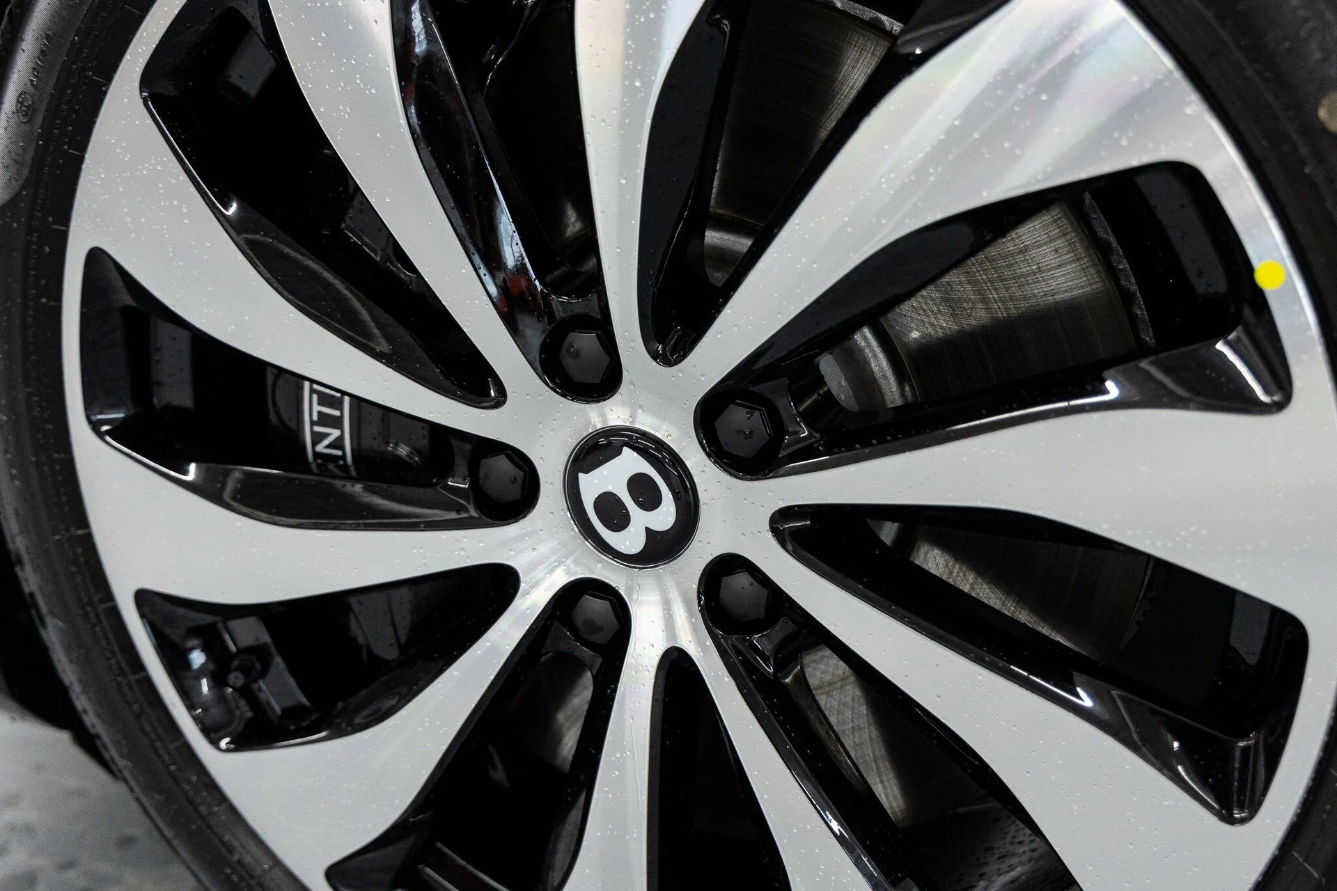 mph016_1300170752_6a9f4228fca8bb16ccc711f1c4006facx_234600abdf