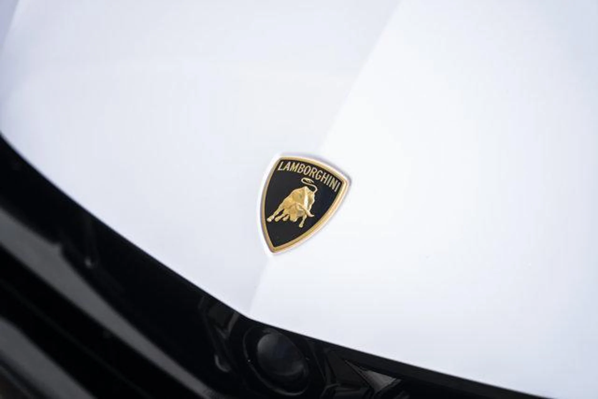 mph016_1325694752_W_El5_Gzr719_Site_X5r6vg_Zq_RK_50g_d6ad5686f3