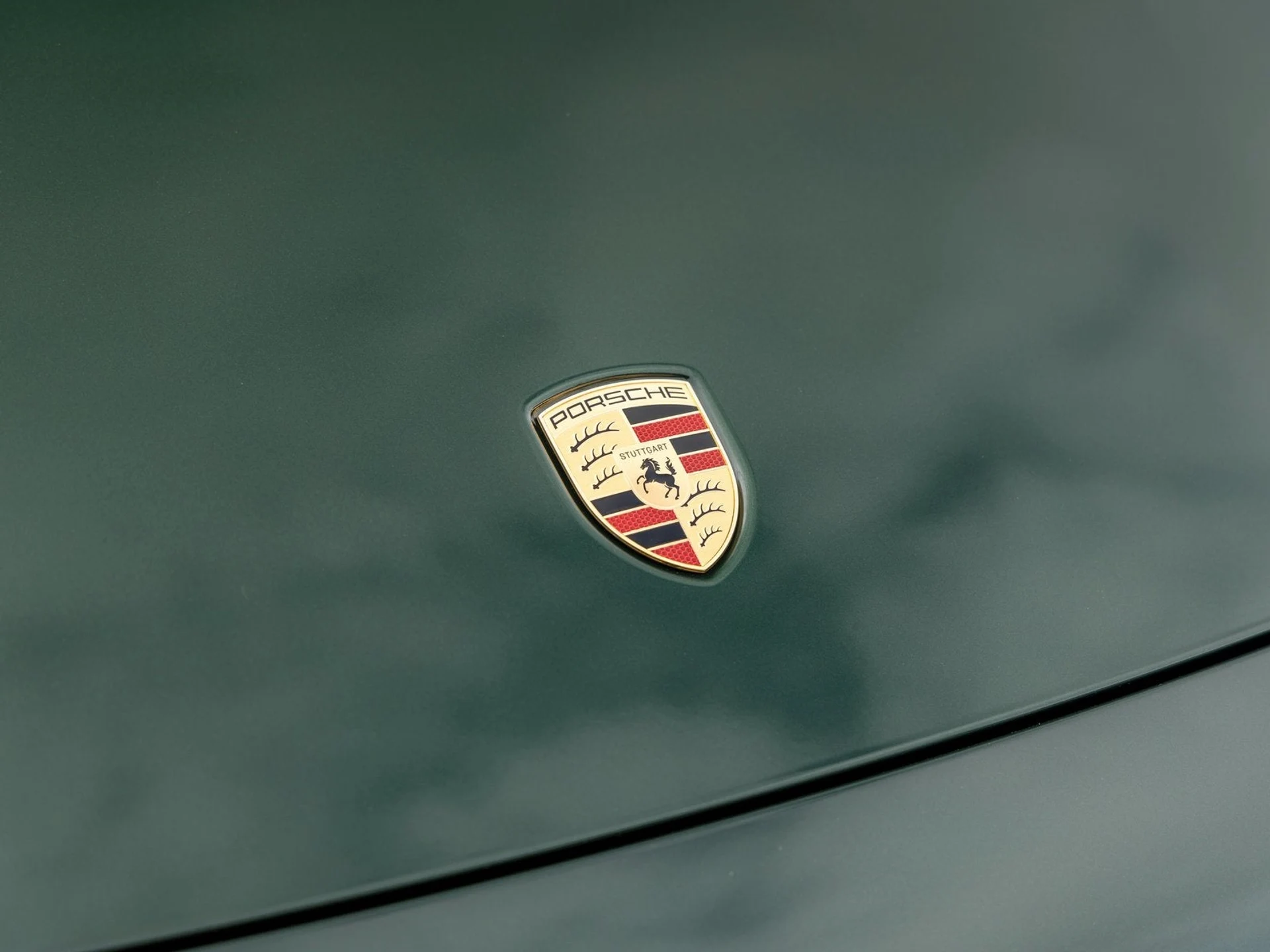 mph016_1409879432_17_c201917eb1