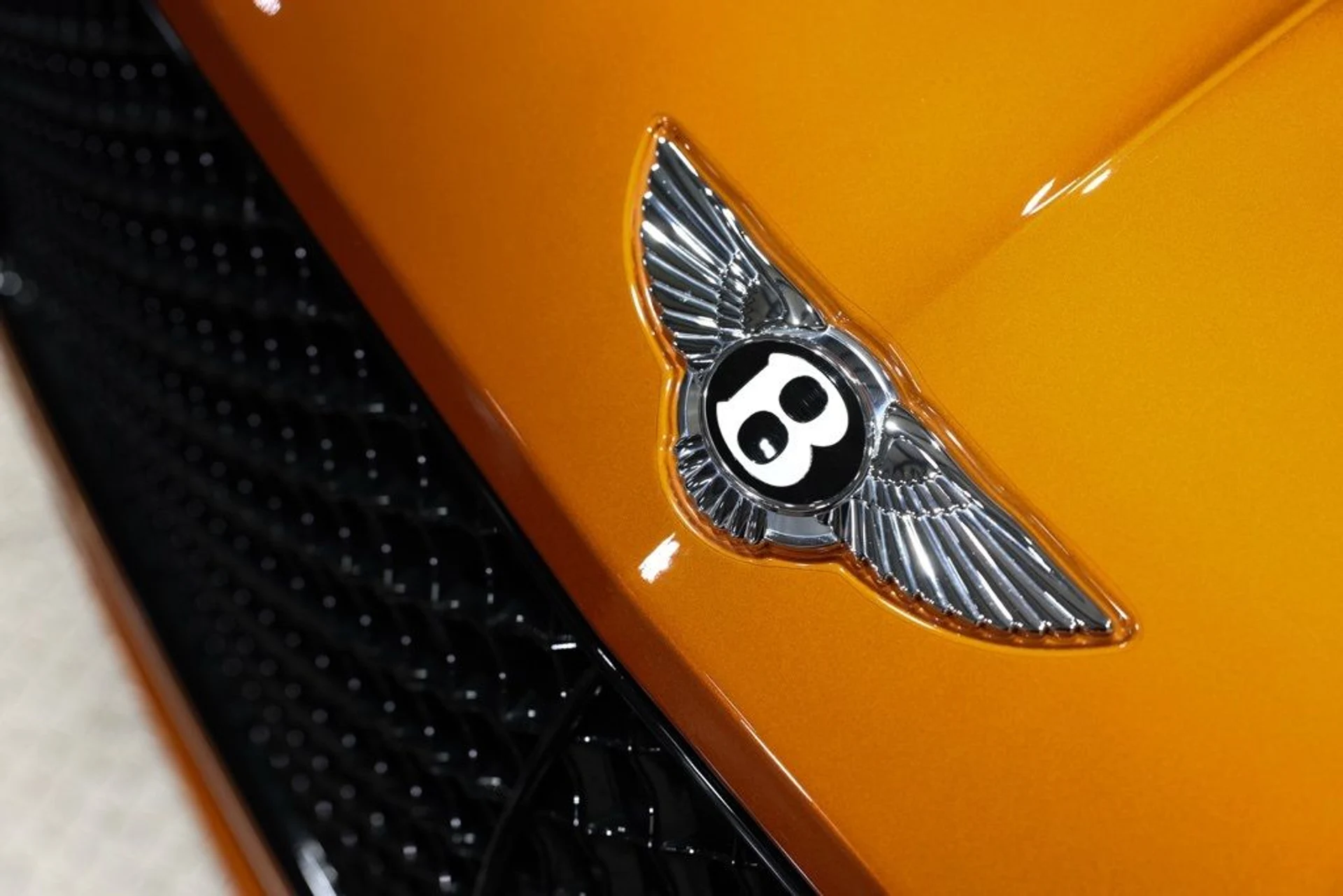 mph016_1447942140_c1lpkc217evteyedryb3xf0ftinc_c2c3efe340