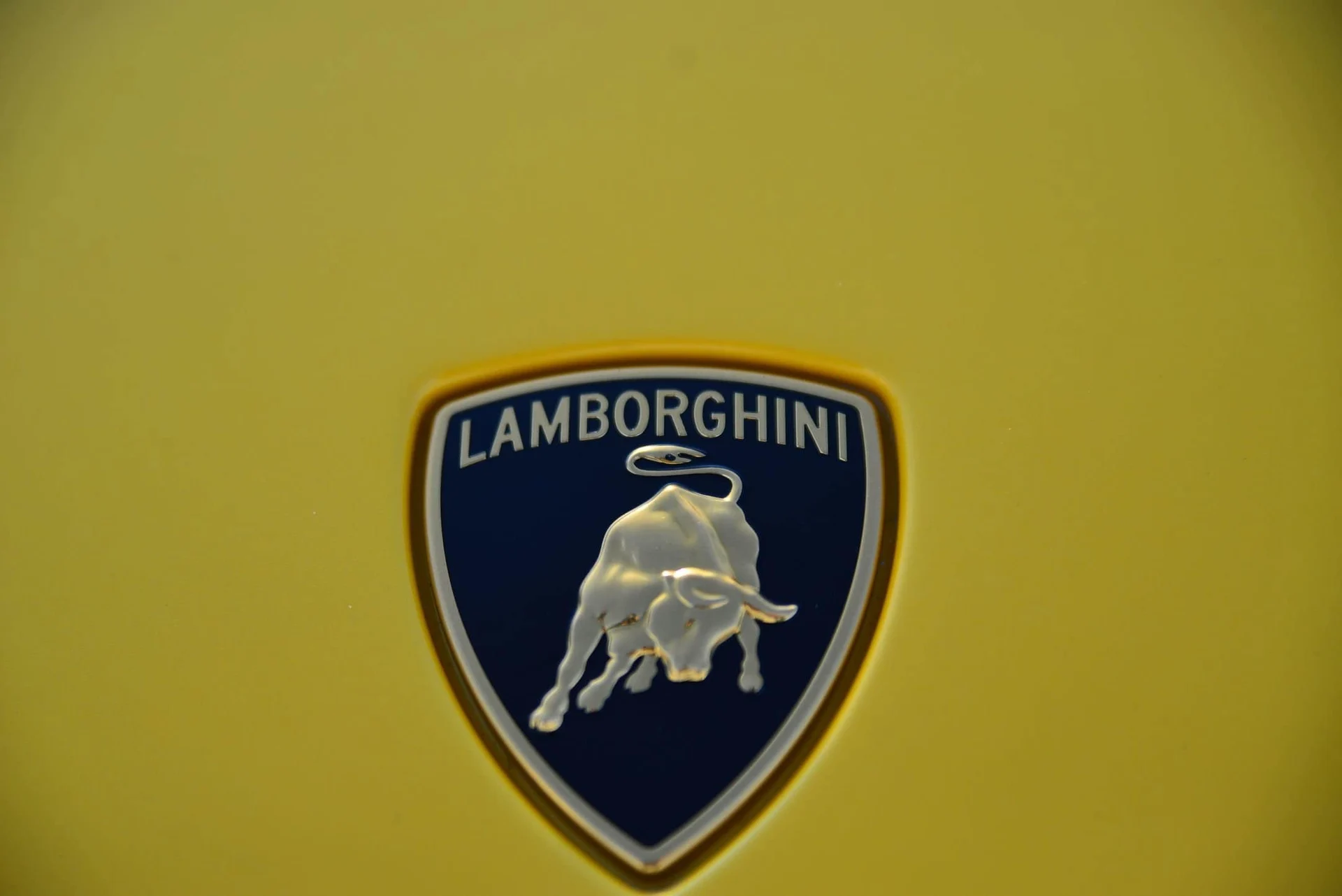 mph016_1480038881_e7a5410fbb8cf839b07c1c1112e3cd5fx_0aac557797