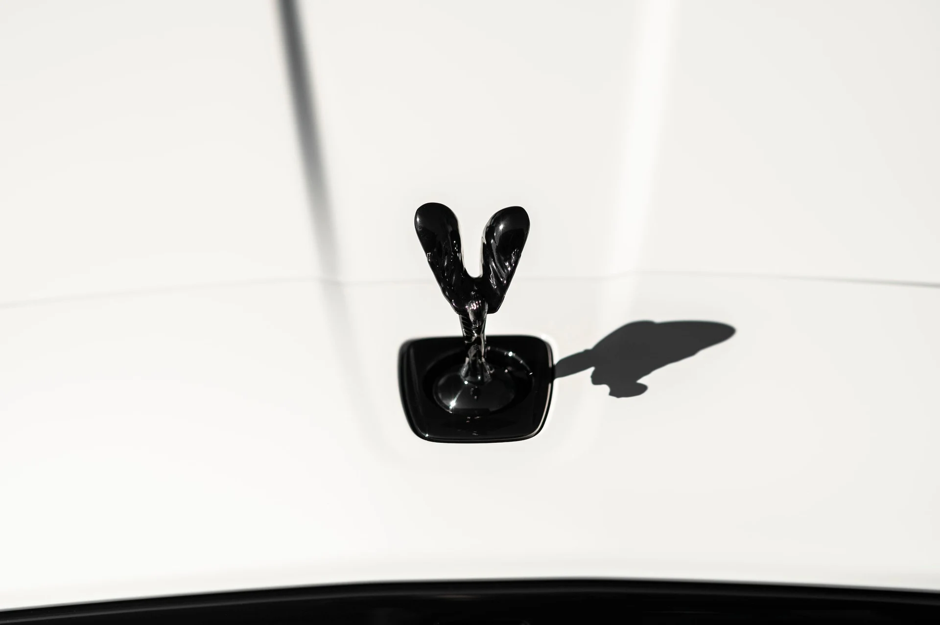 mph016_155151880_83d5cb858c7e466685ae5e2a57b16f9c_68454ac598