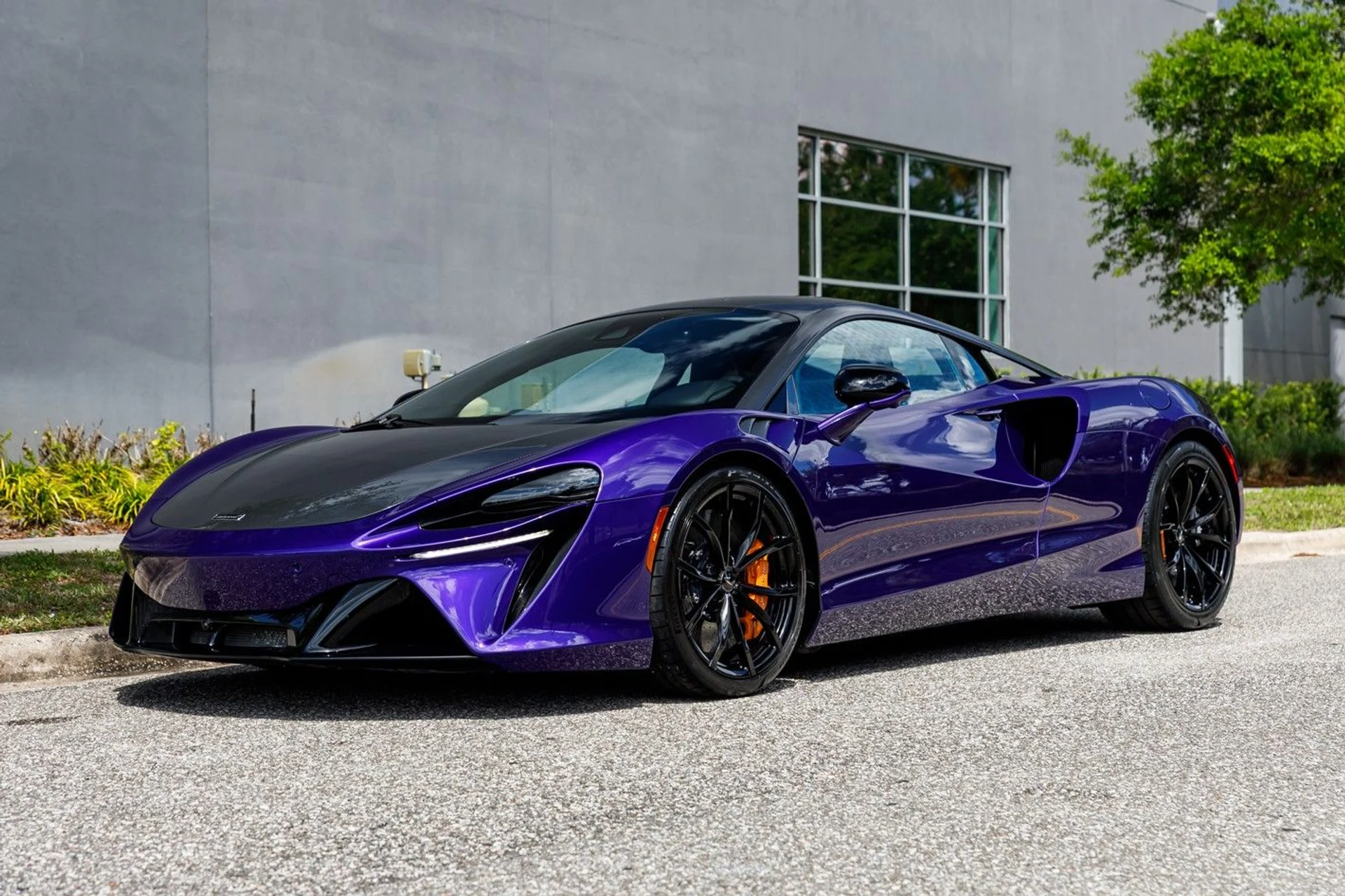 mph016_1637728305_362_p17_l_5934fabf89