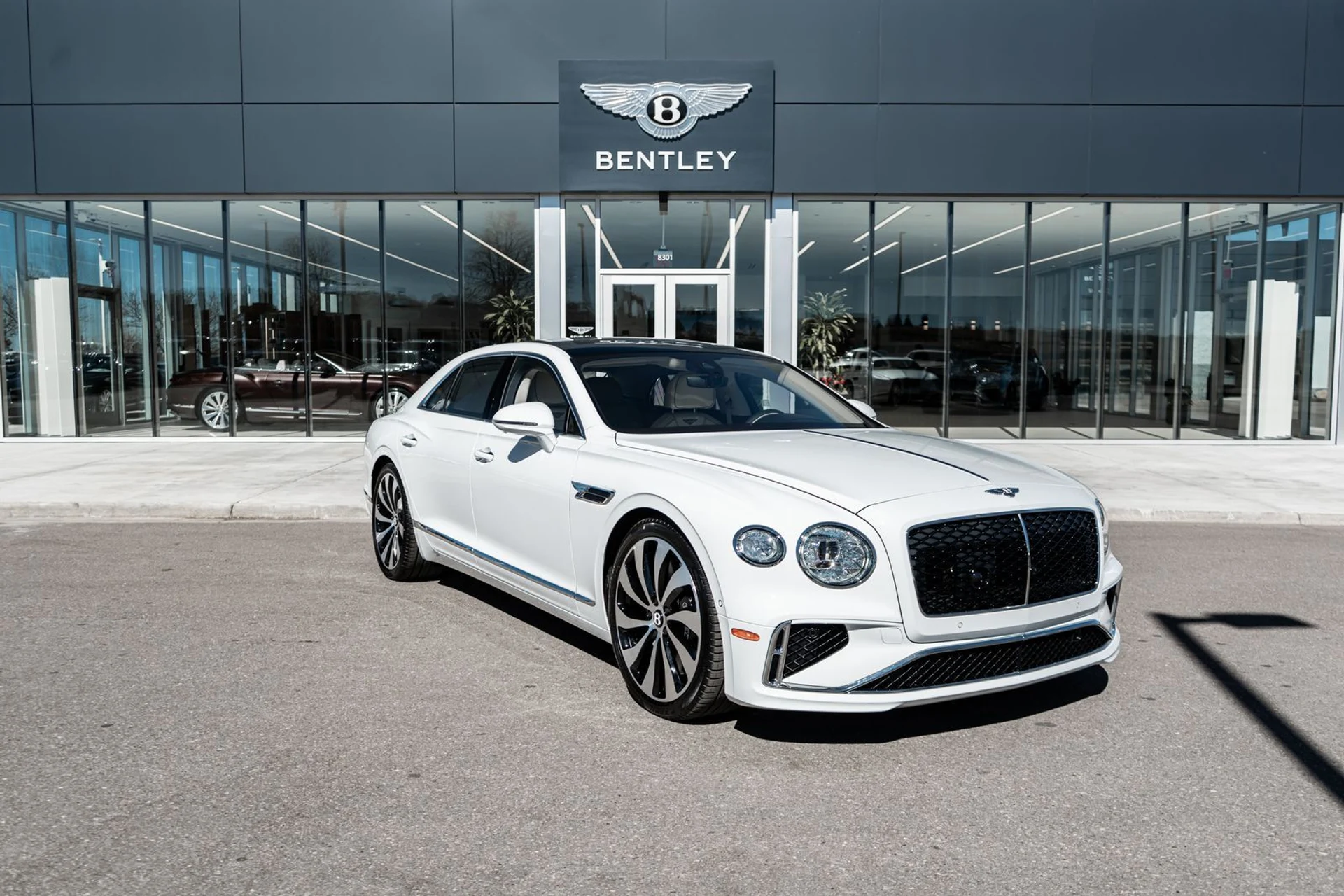 mph016_1734417693_0055b50d_8854_4d4d_abe2_348b17c9cdc8_923a8a69d7