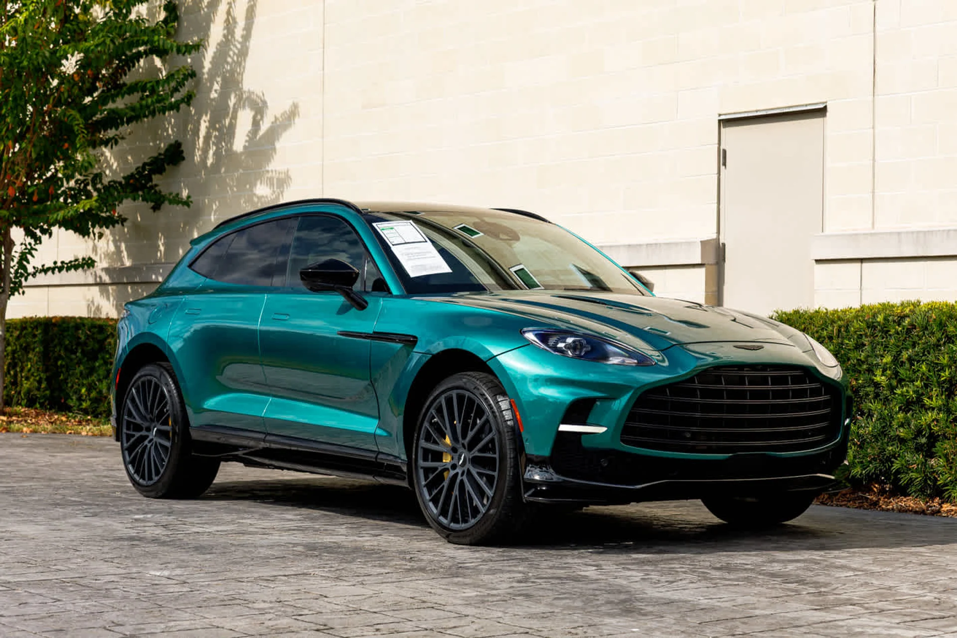 mph016_1825359408_17_f725144971