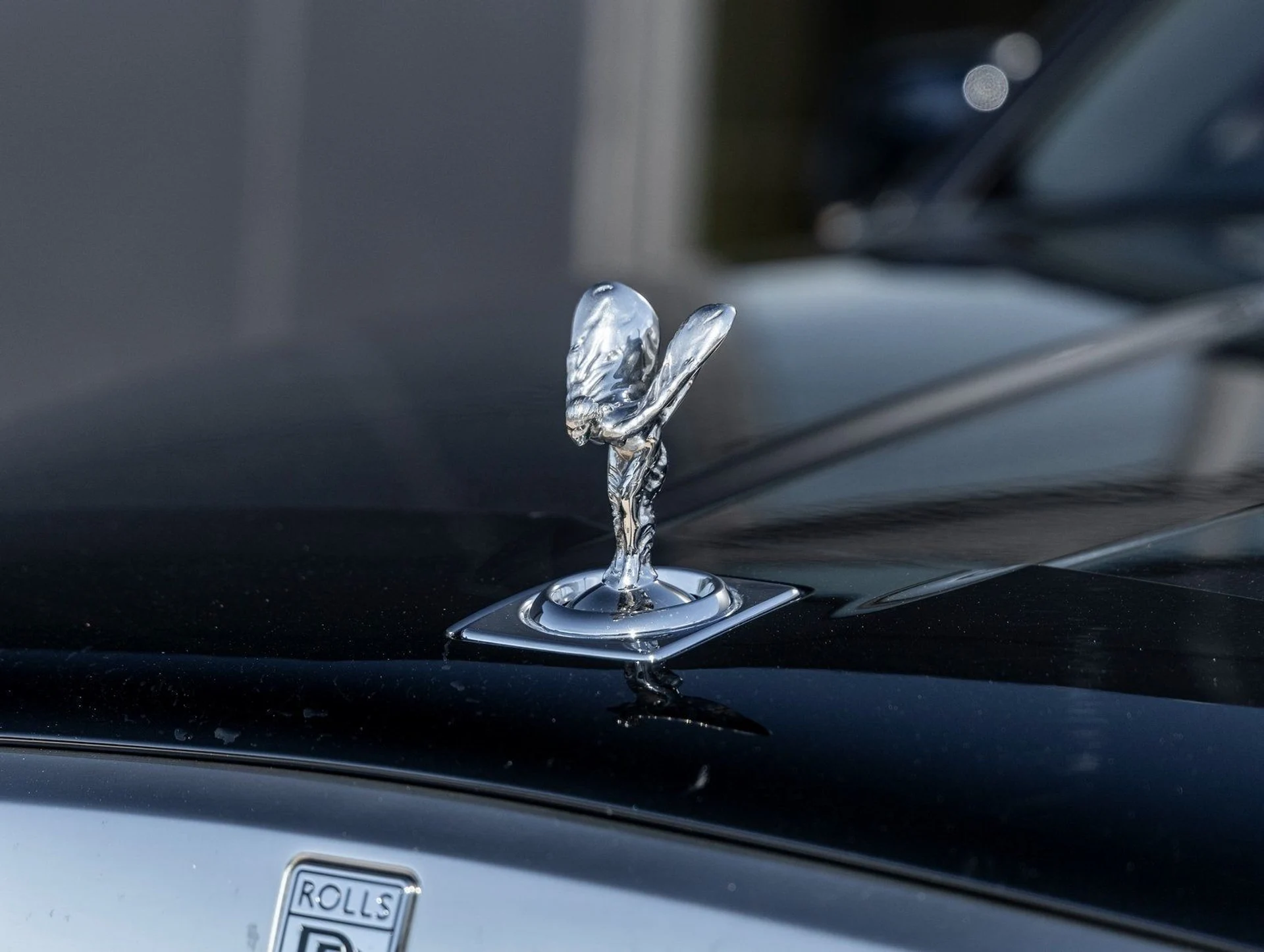 mph016_1825372996_17_723461d28f