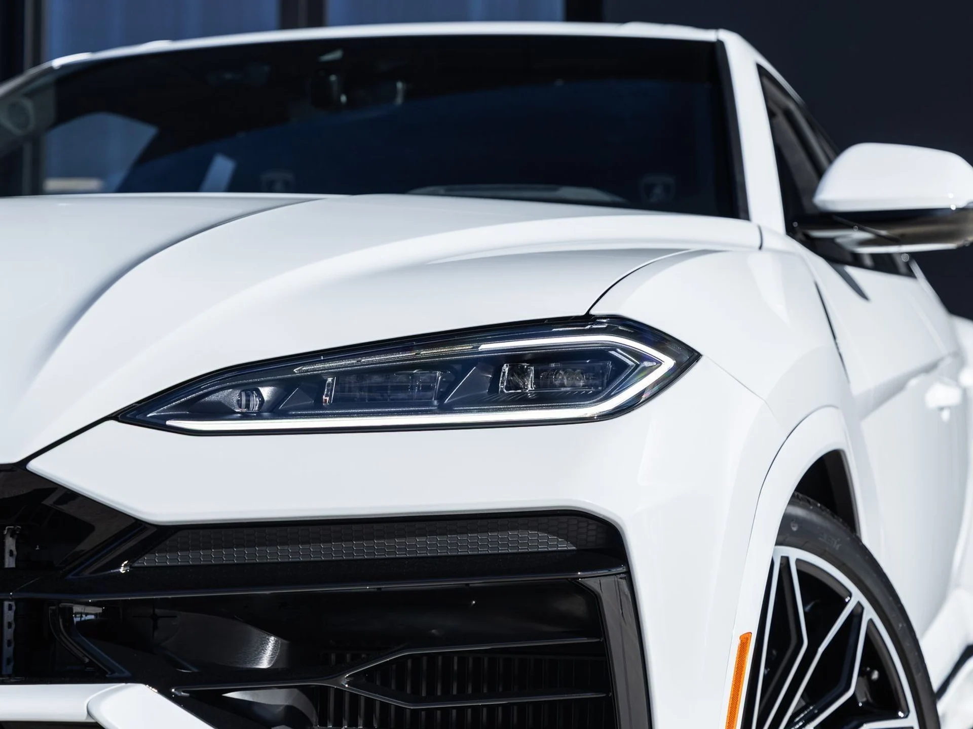 mph016_1841783328_17_3b3e8c8cb9