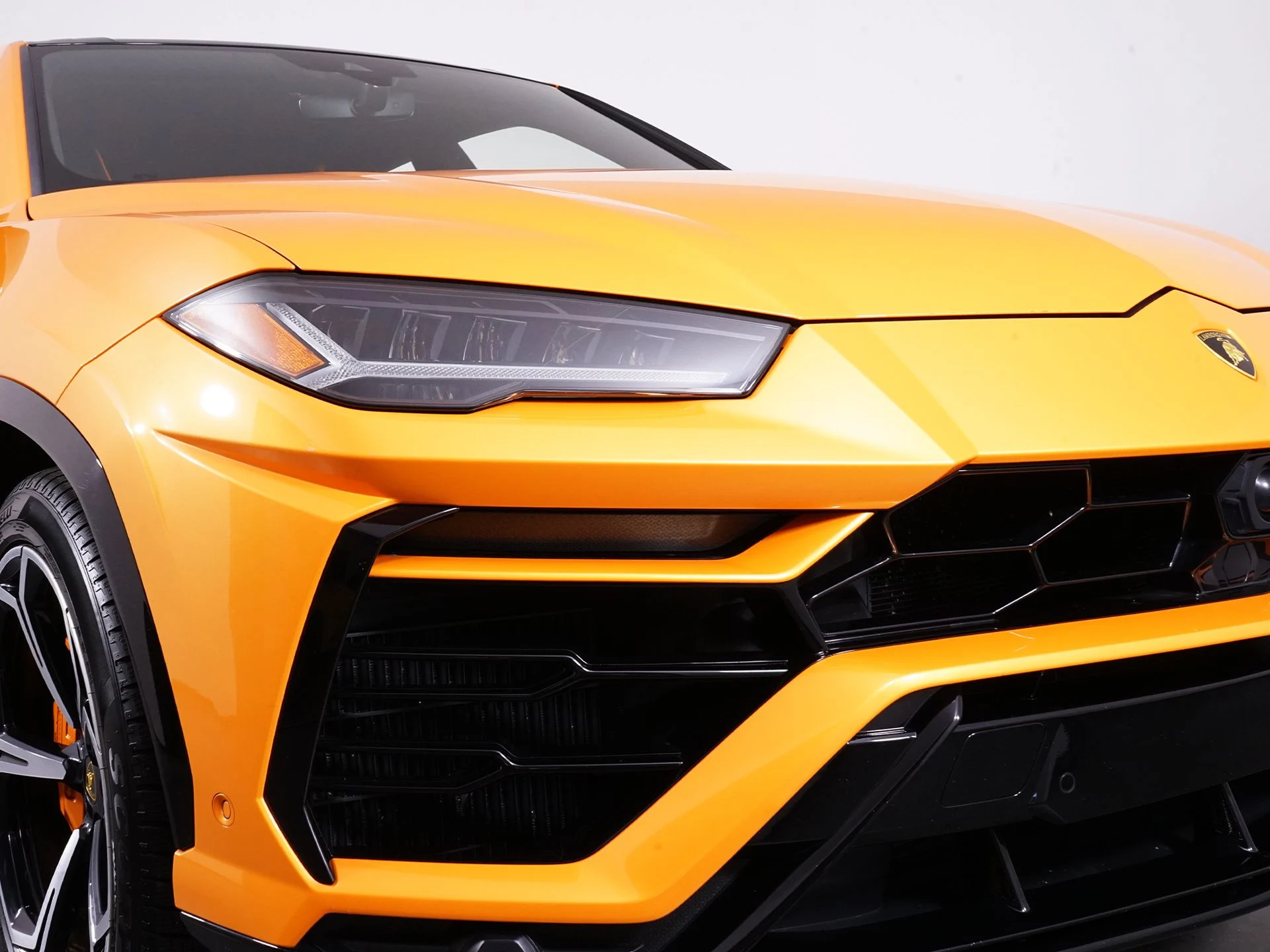 mph016_1850990766_b93b997ab6eb5c5fc5423cb69373a59ax_d937ce7d23