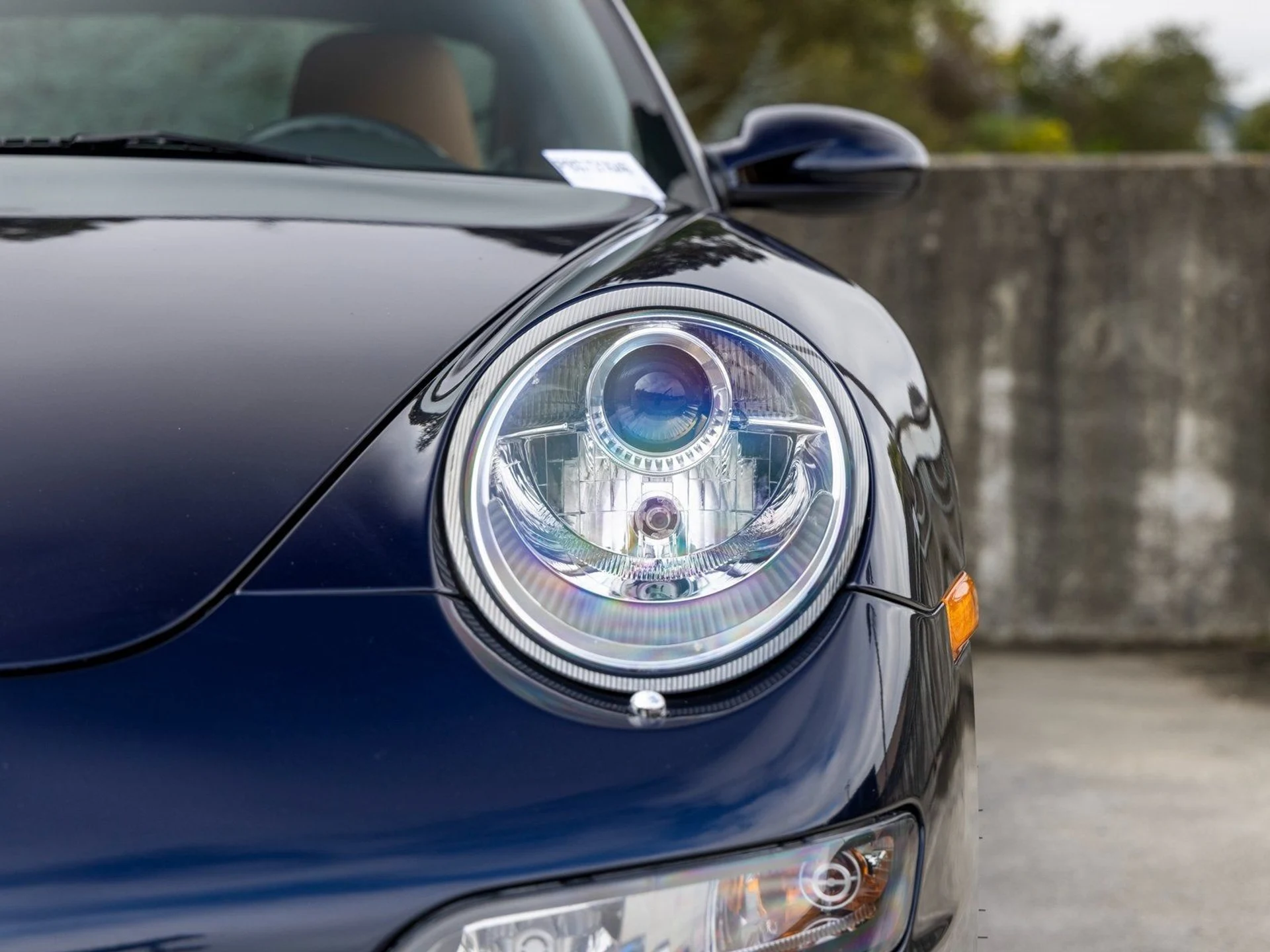 mph016_1886177413_17_91aa84ccec