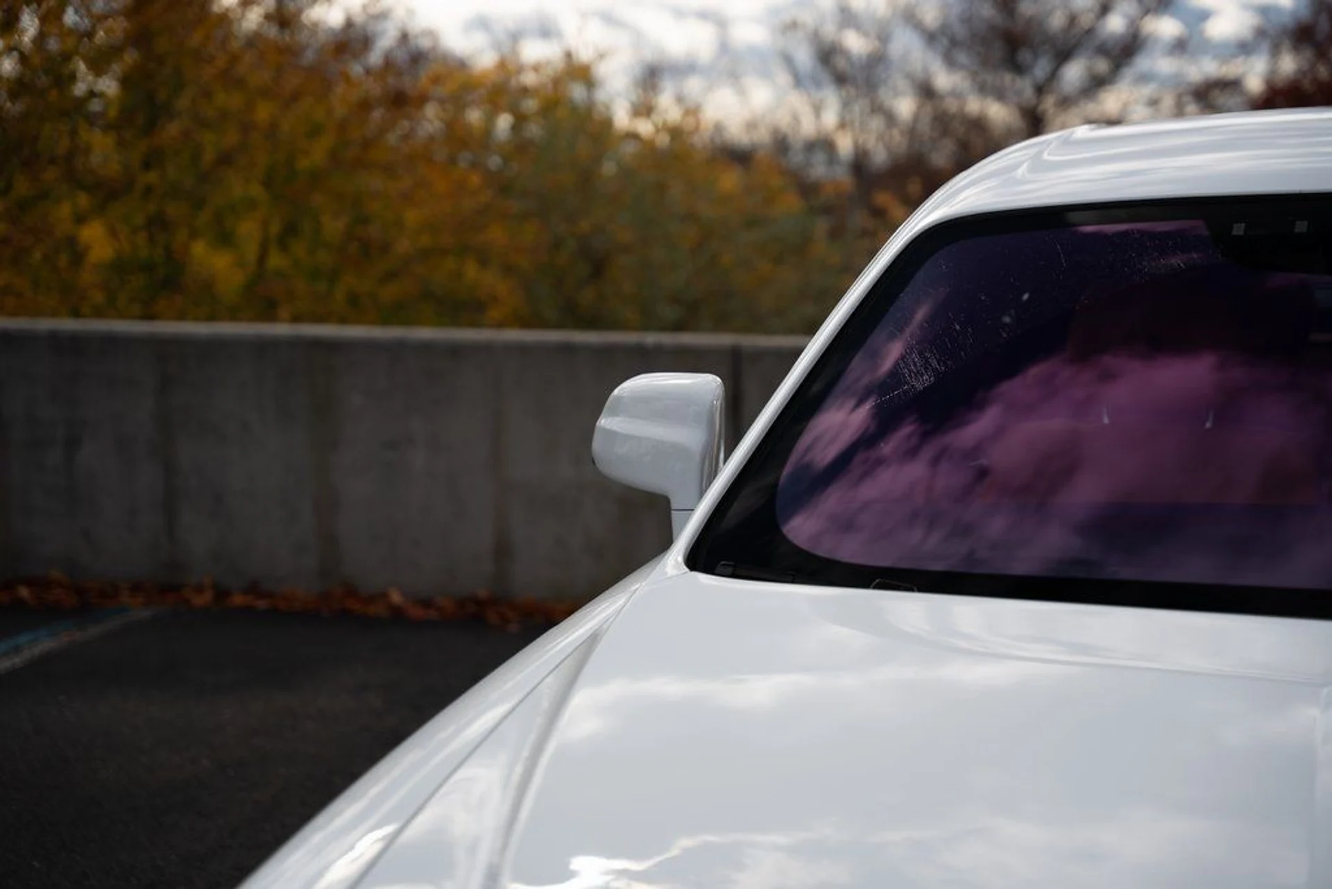 mph016_197328871_image_18_6f86426a5f