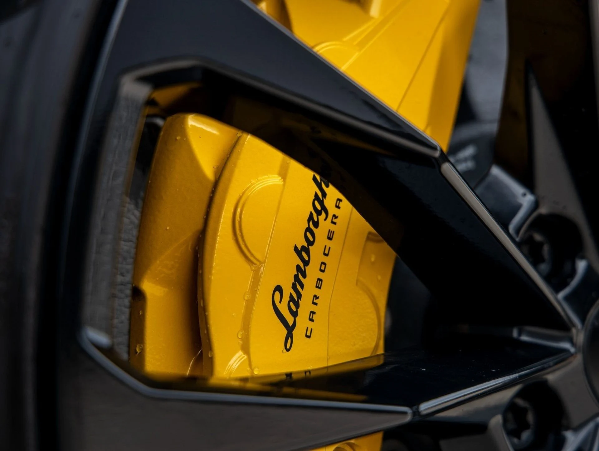 mph016_2036236850_17_84a2b592ab