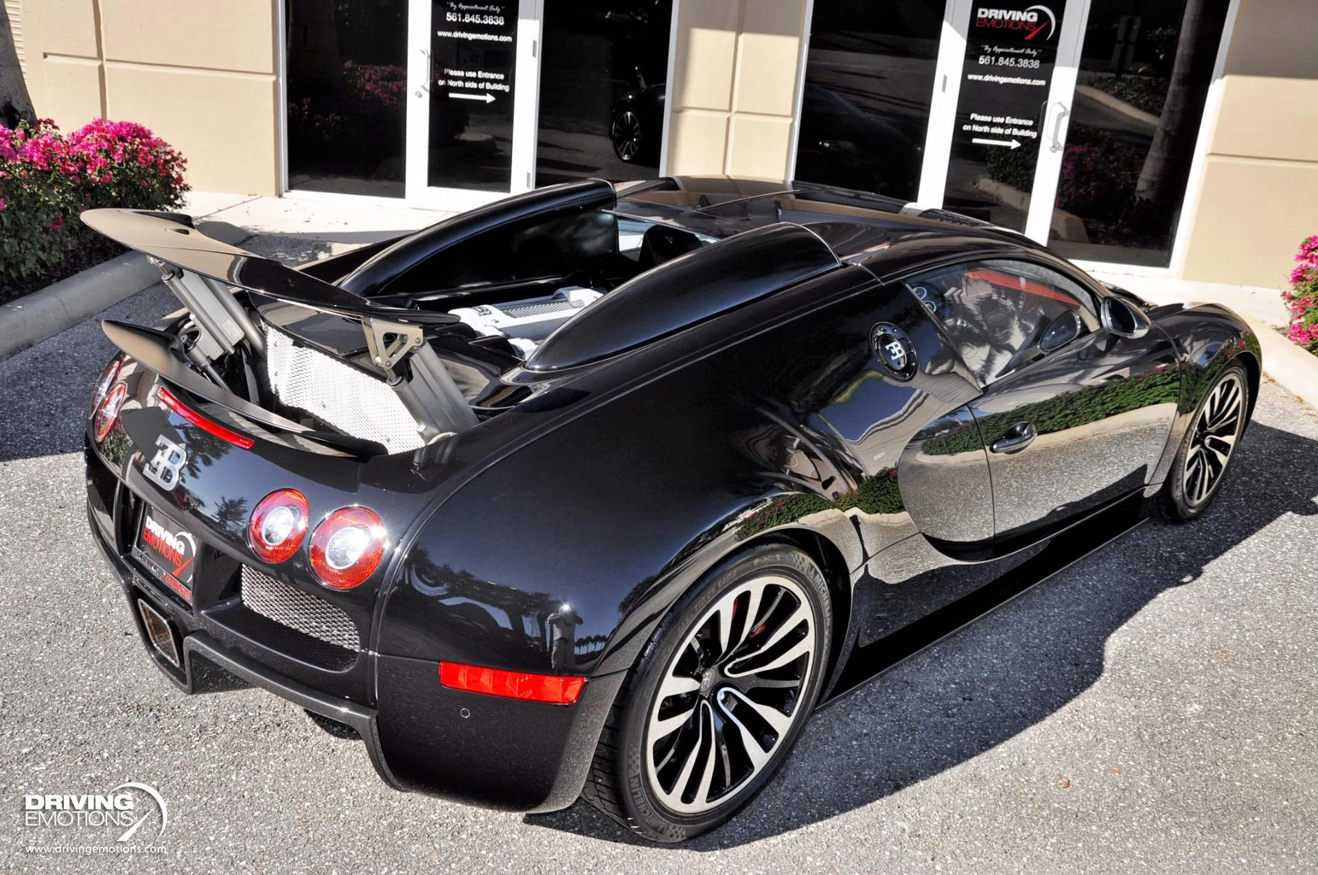 mph016_2036400987_479_p17_l_dd21720df4