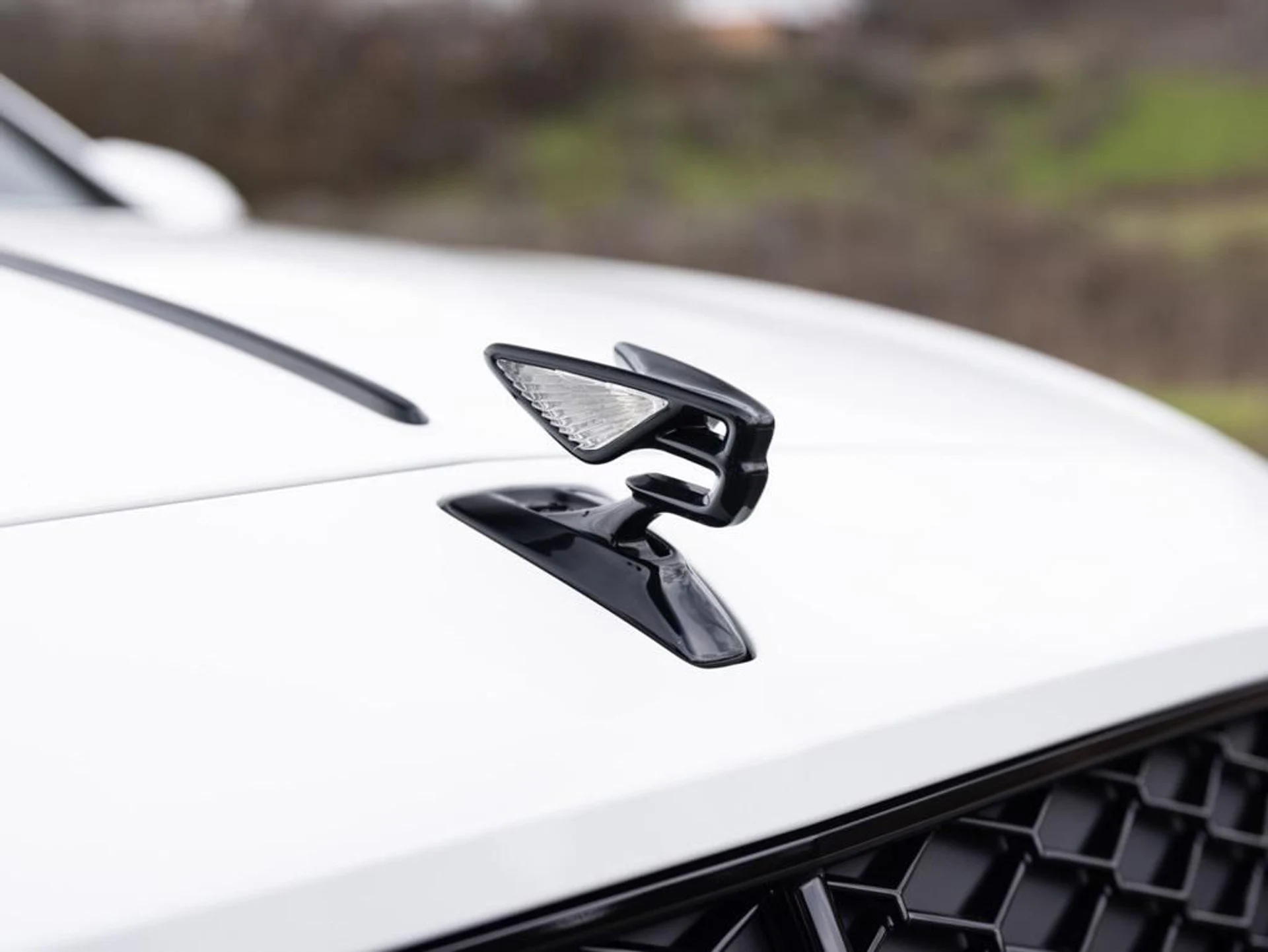 mph016_2073025935_403809833_67c234256b5617b02de637a6_961d025c2a