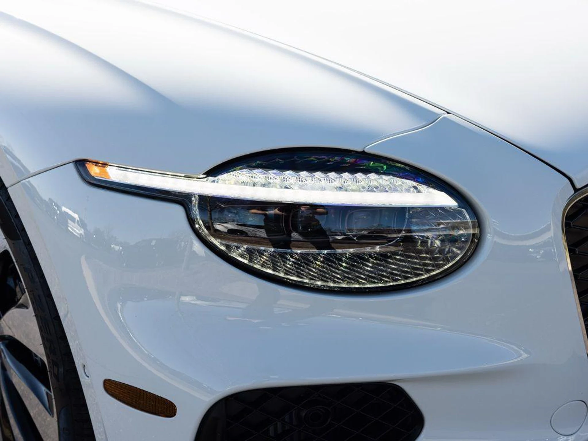 mph016_2257300415_499141765_69a452f50431bab765b4b404_0a901d181d