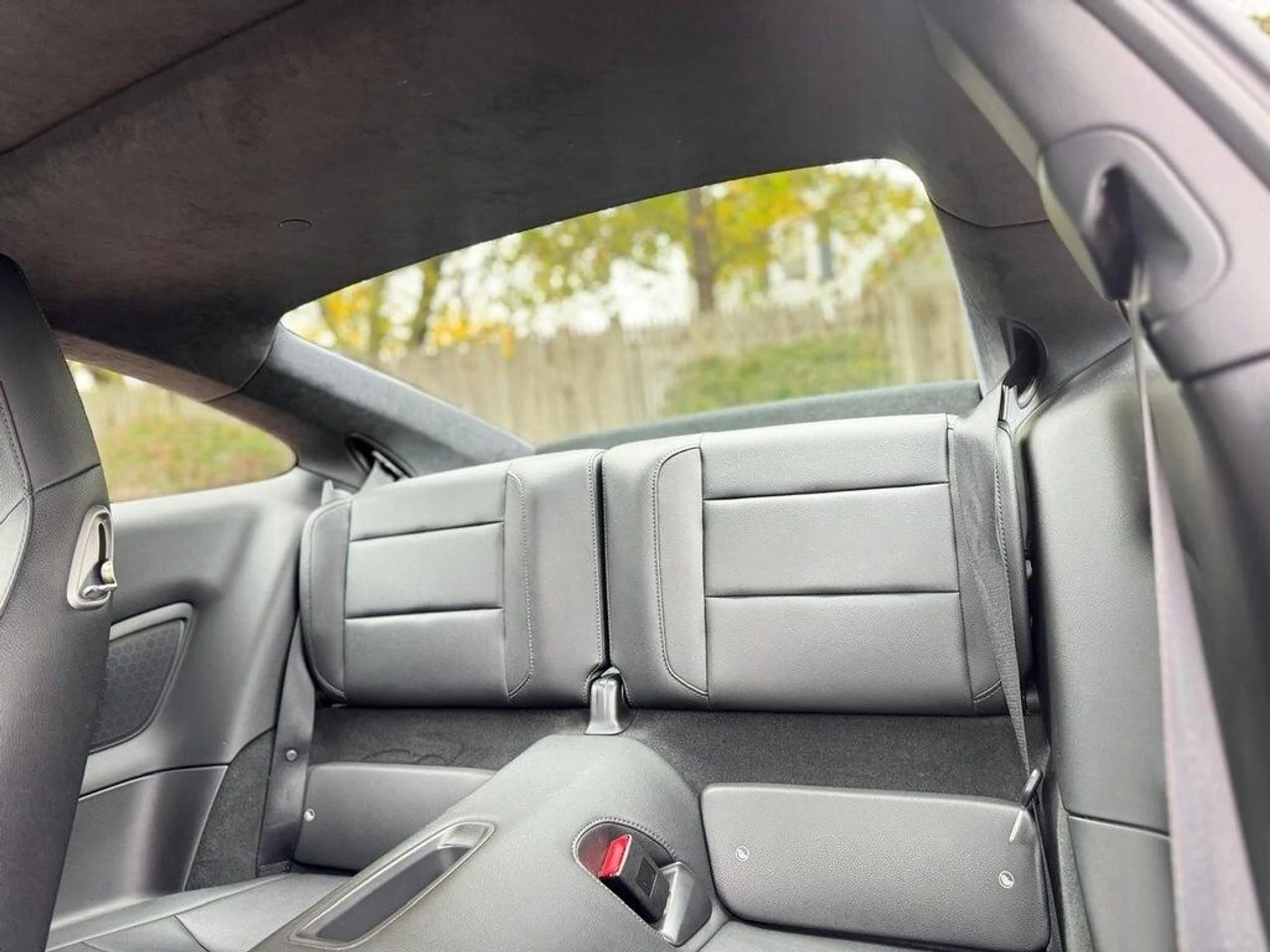 mph016_2303096238_3dfb24a0ef561848fbde5db61cf9ccf5x_6ca3113582