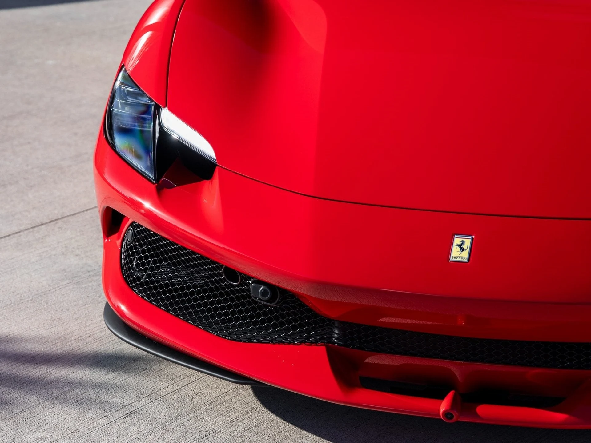 mph016_2342416545_17_f997559034