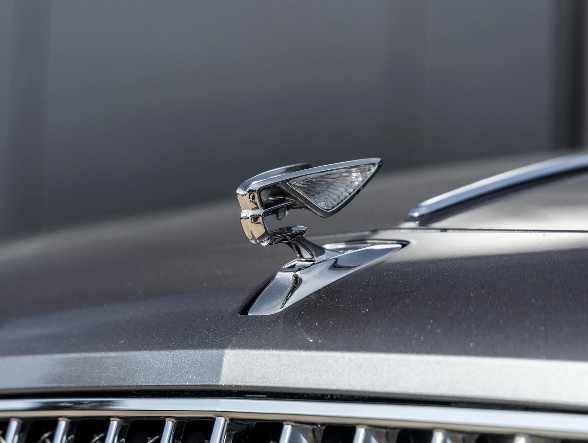 mph016_2353755093_17_f7fc1a4741