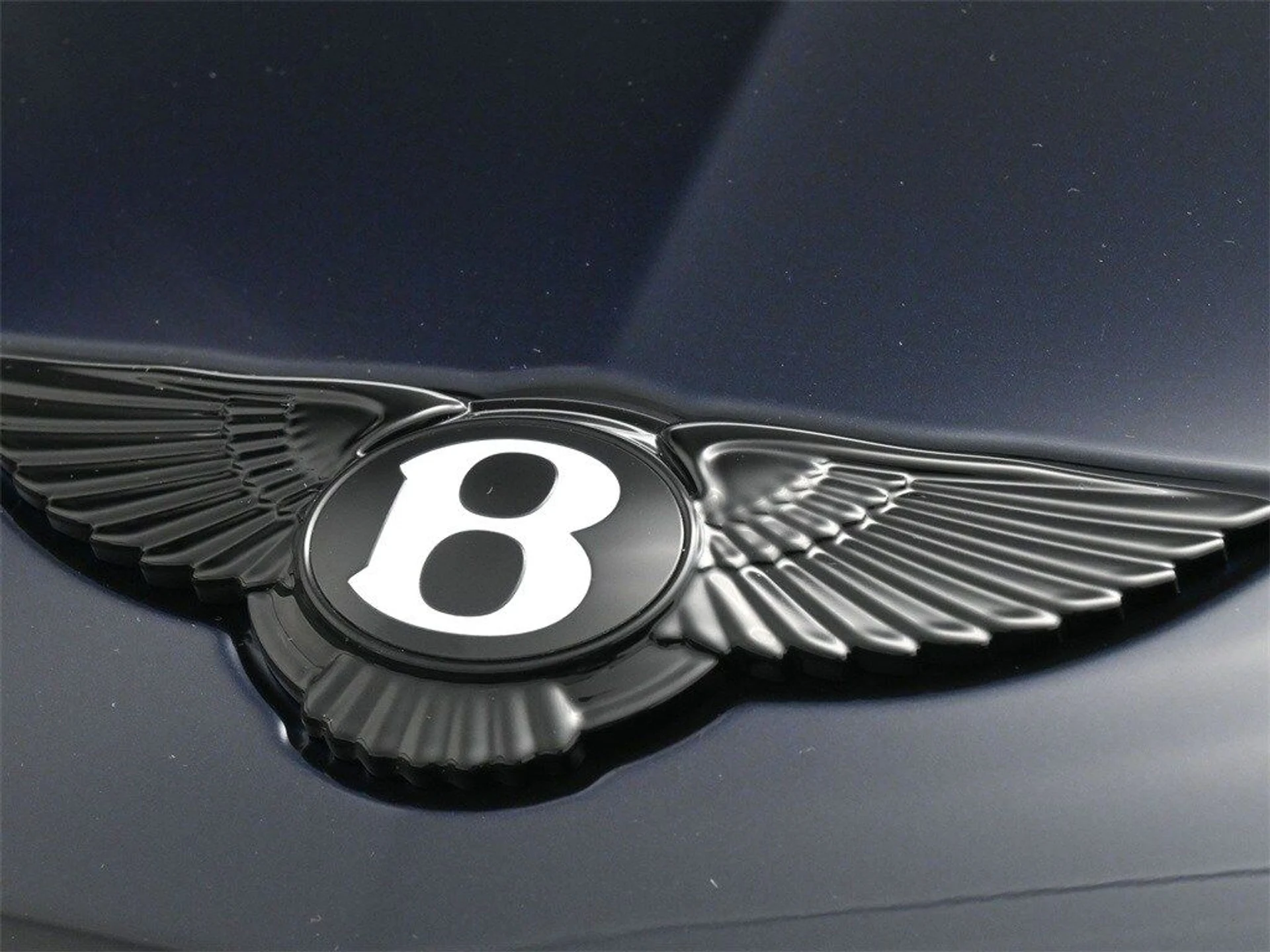 mph016_2375849635_3ee49332508cfa697cb1e8bdcf7763d9x_86ac257844