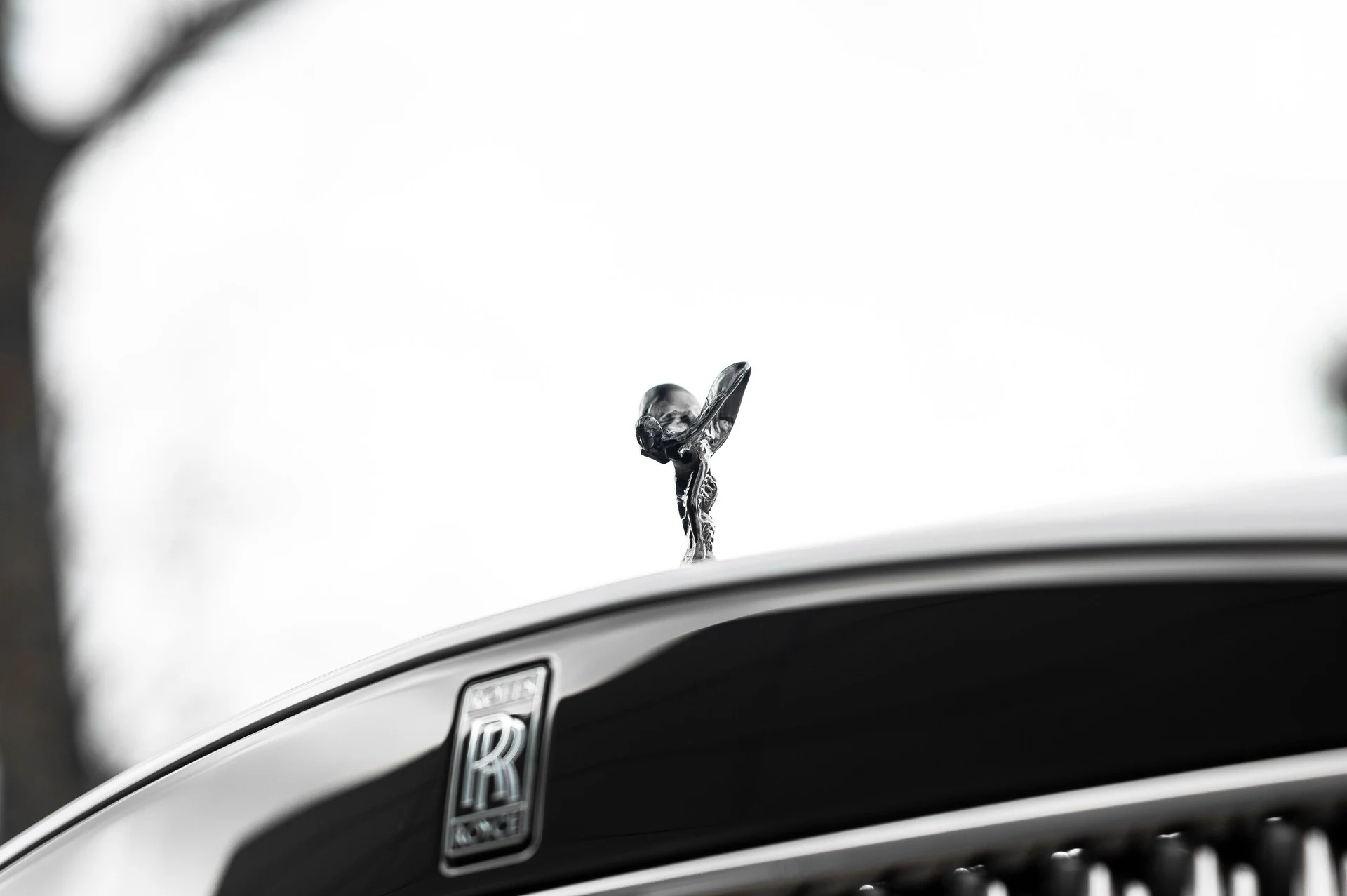 mph016_2397149346_a4205afc4fce41d6a3b86d7e821a48ae_af12bea0d2