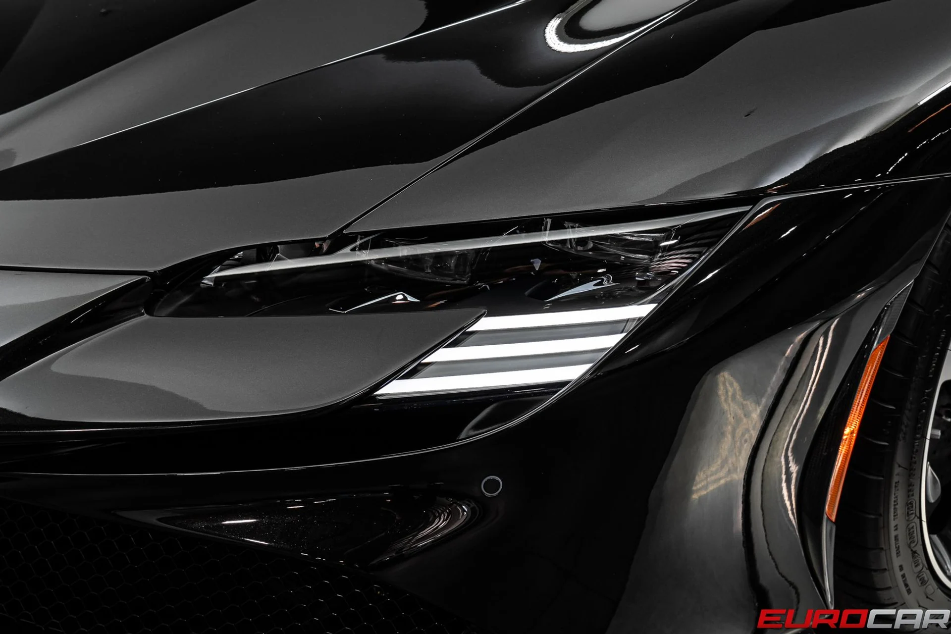 mph016_2449448215_e74c7871_5370_4cac_a083_1d45ddb7a298_69f14193d4