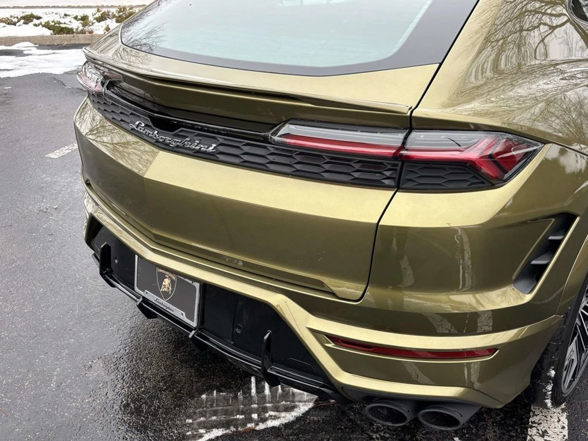 mph016_2468199214_8e766e77184399dd42b142efb7b6381bx_73a1fba52b