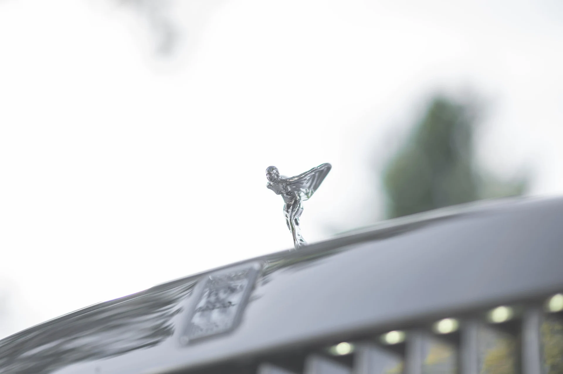 mph016_2547491180_f4bbd93b2636479380591ad0eaac82e3_0343e2d662