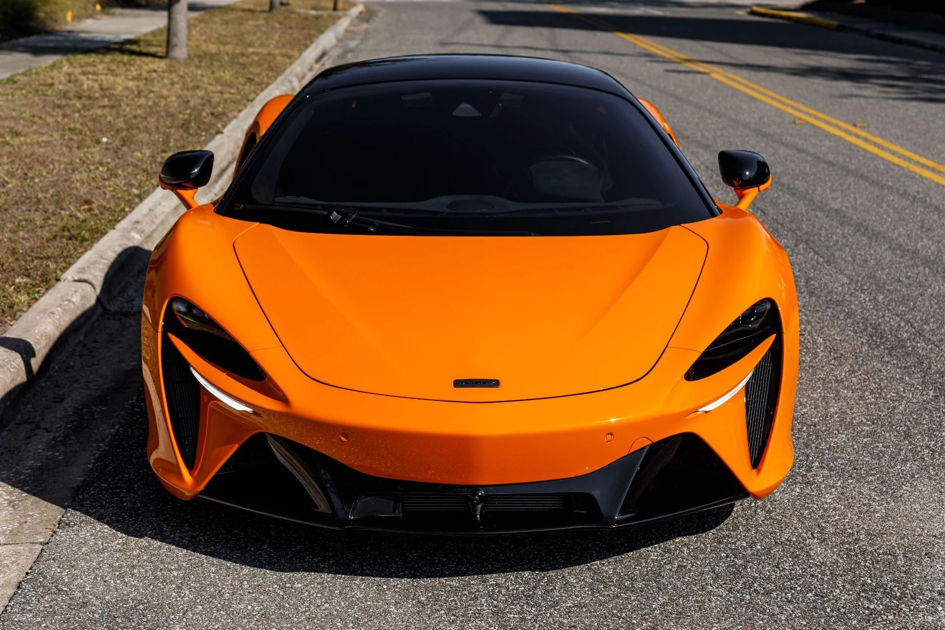 mph016_2560807093_653_p17_l_cf15fda7ca