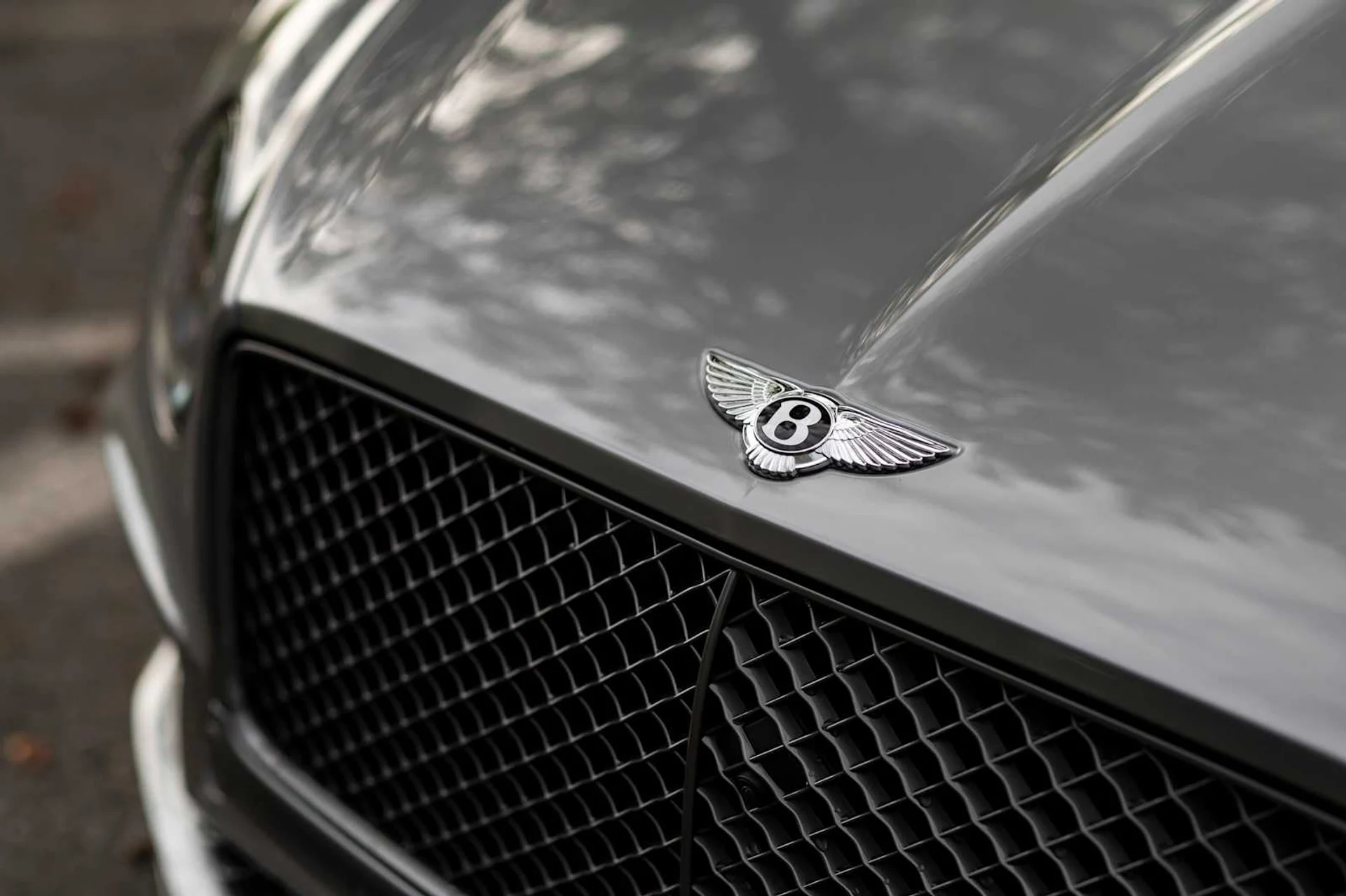 mph016_265284634_a21d4d94ce3f0c870ba96a5d3281f67ax_dd681f13a5